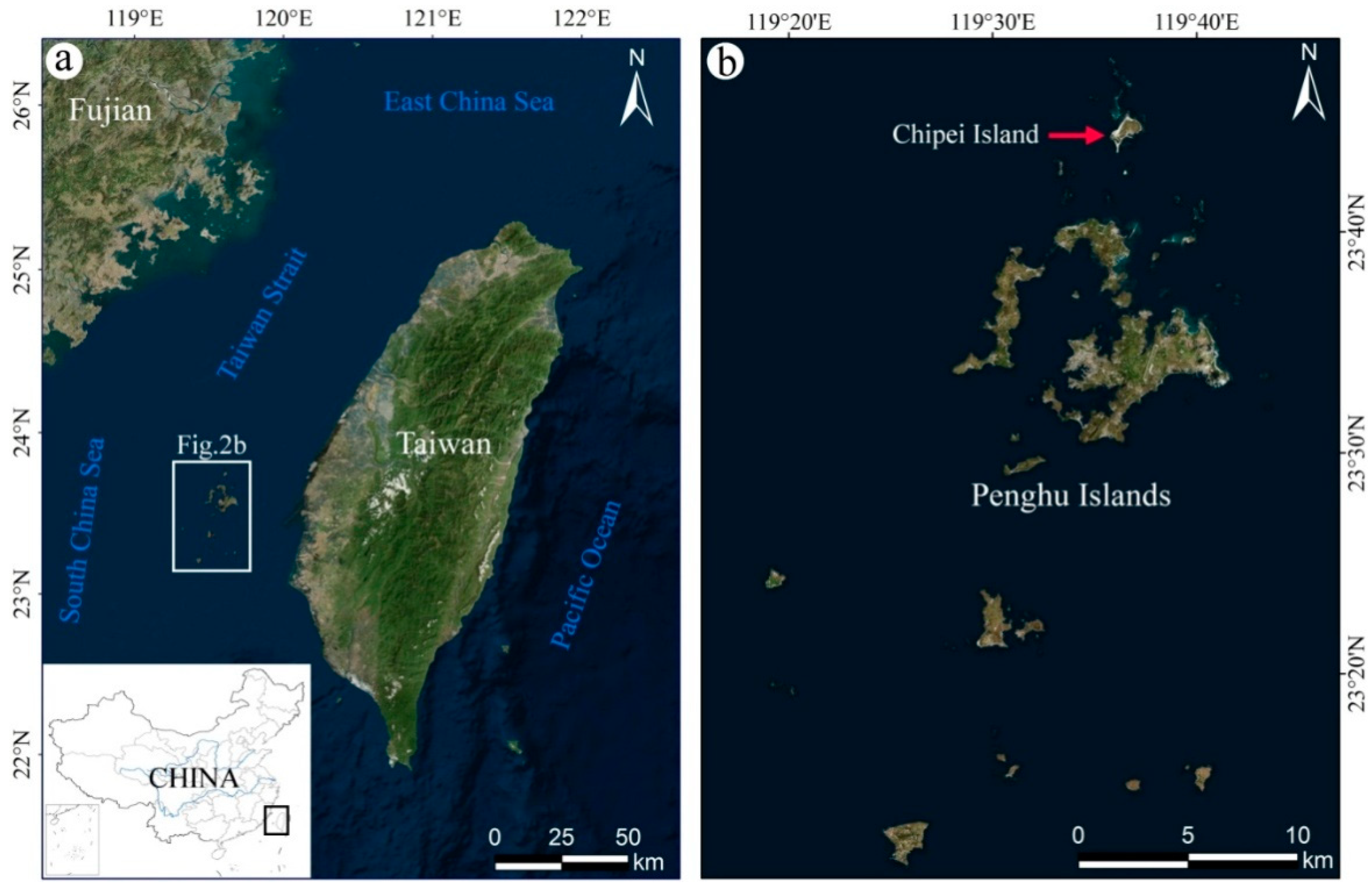 Sustainability 11 04536 g002