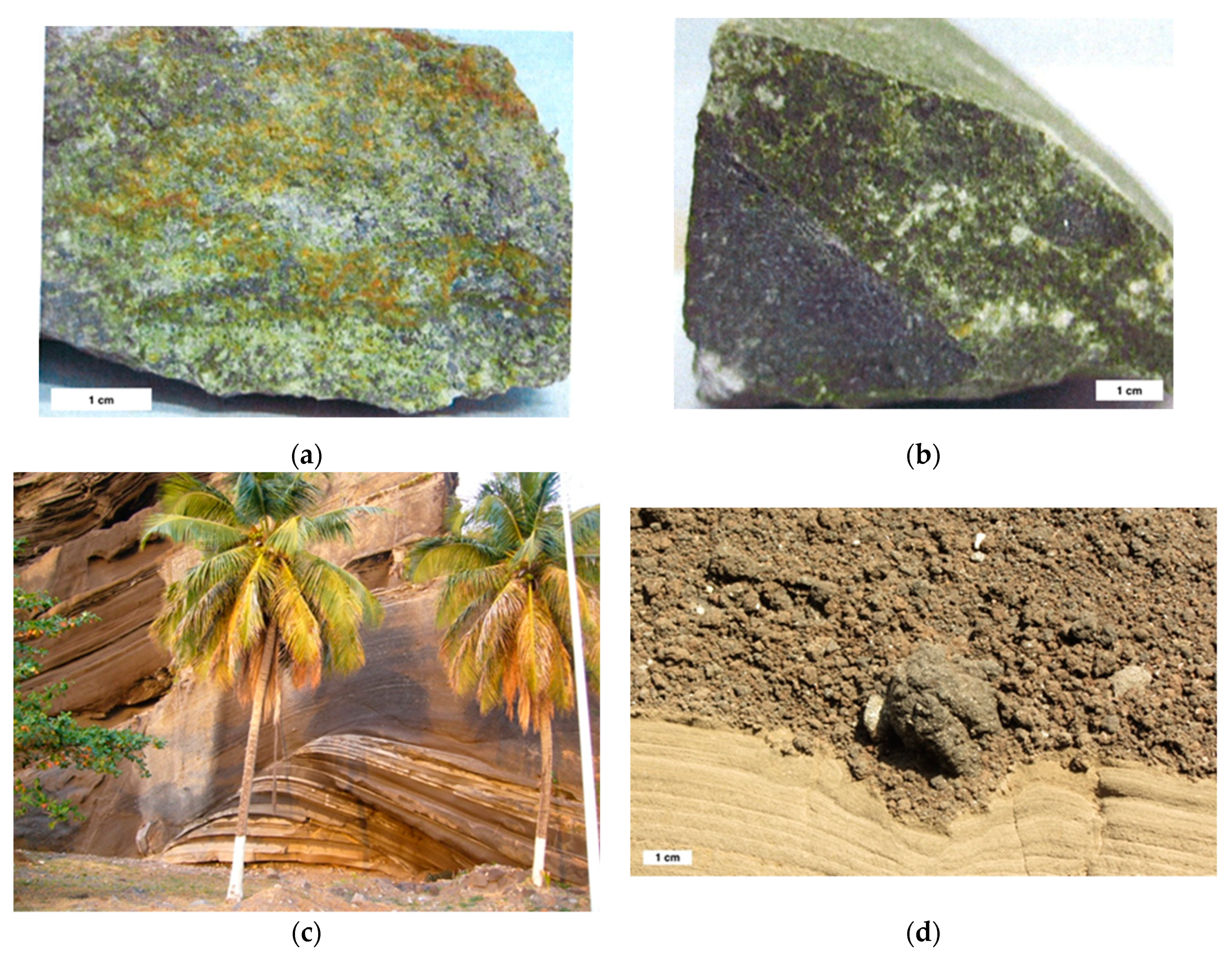 Sustainability 11 04566 g005