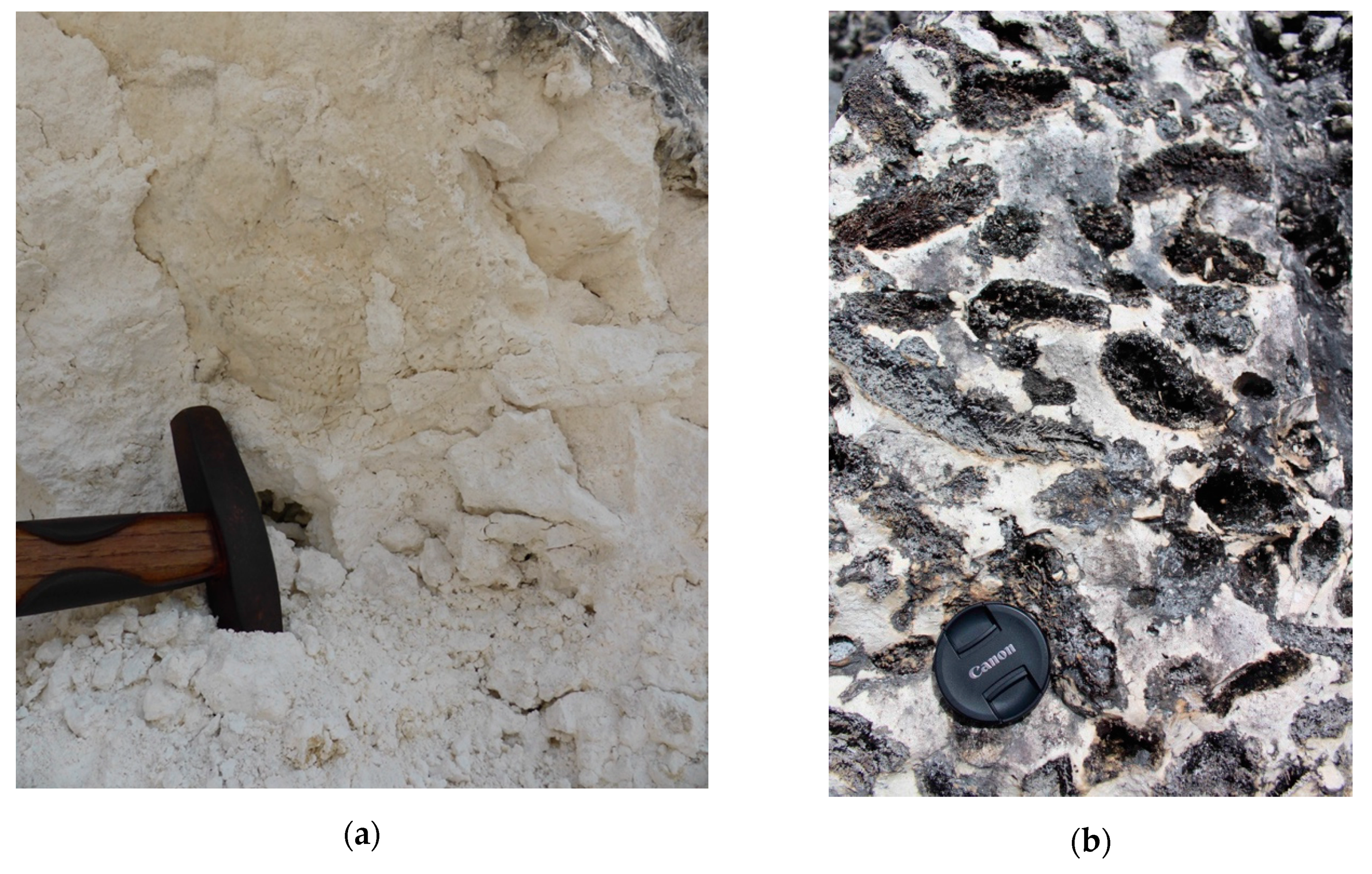 Sustainability 11 04566 g007a