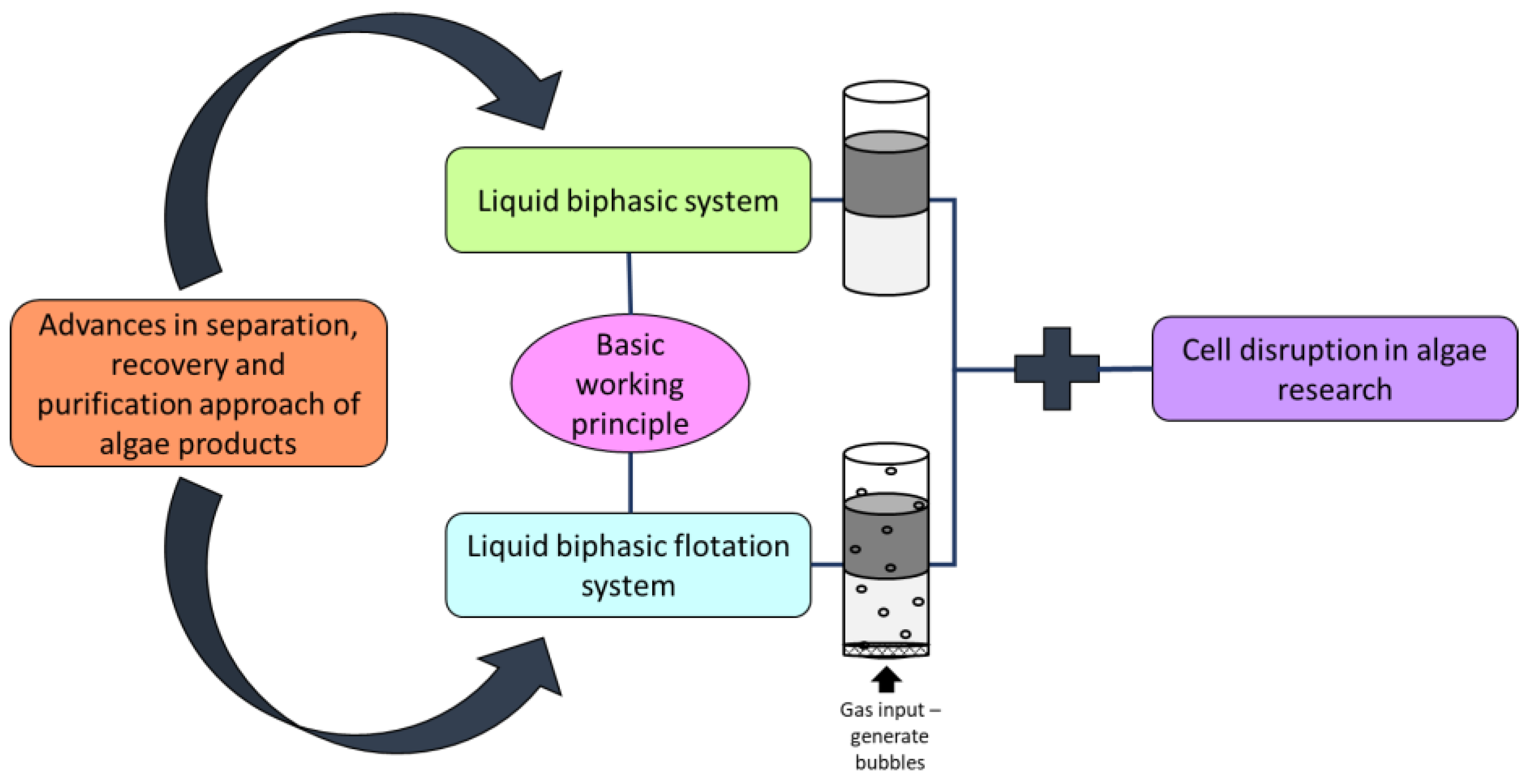 Sustainability 11 04682 g001 Sustainability 11 04682 g001