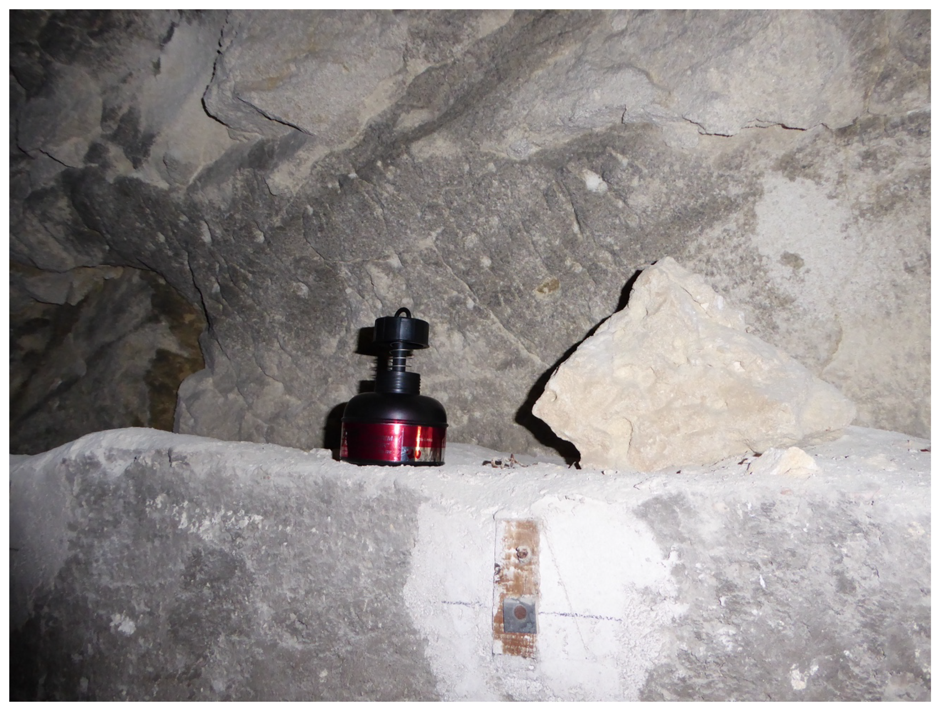 Sustainability 11 04692 g010