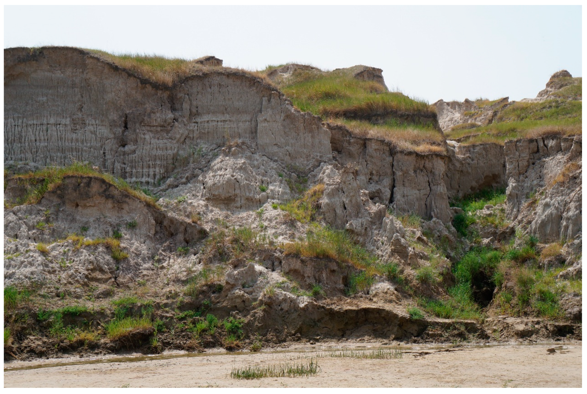 Sustainability 11 04709 g007