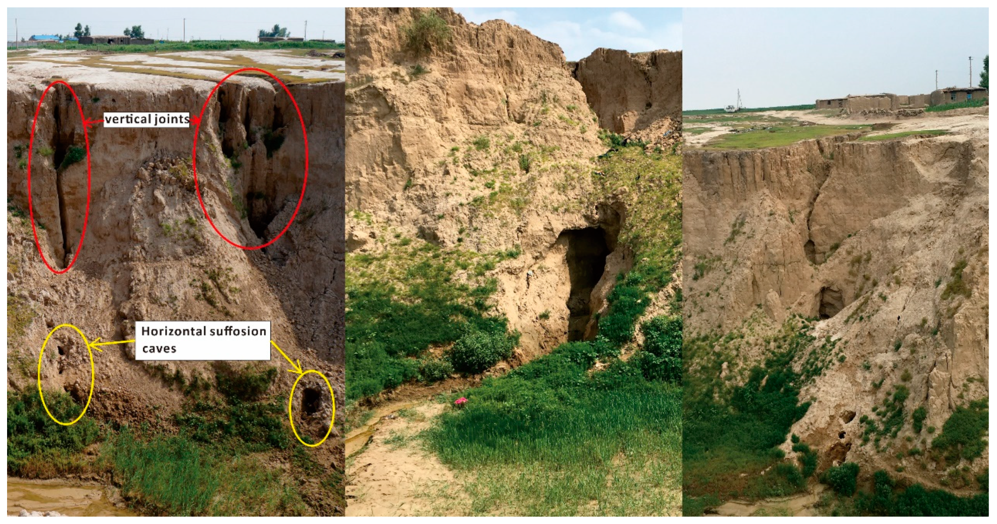 Sustainability 11 04709 g008