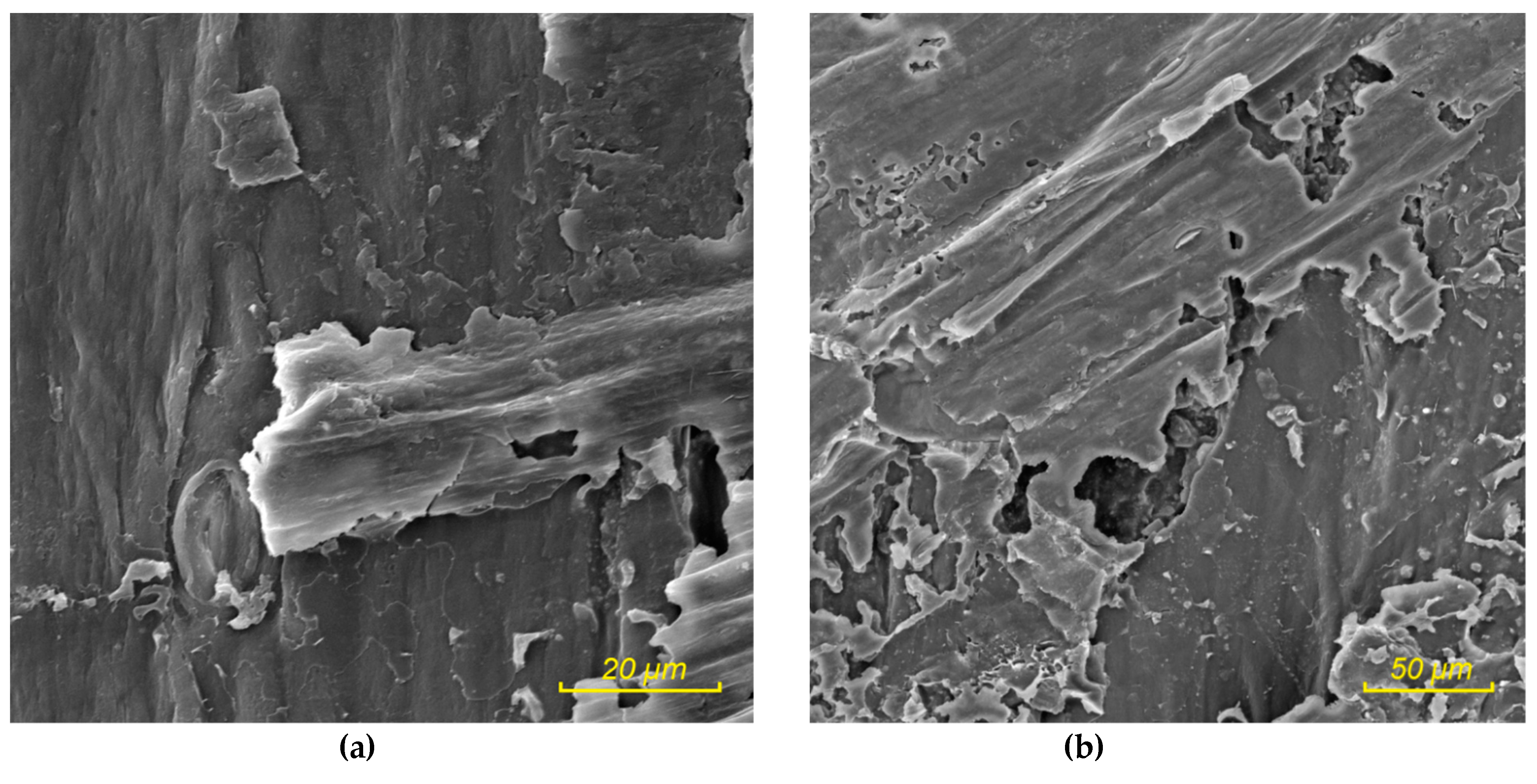 Sustainability 11 04784 g001