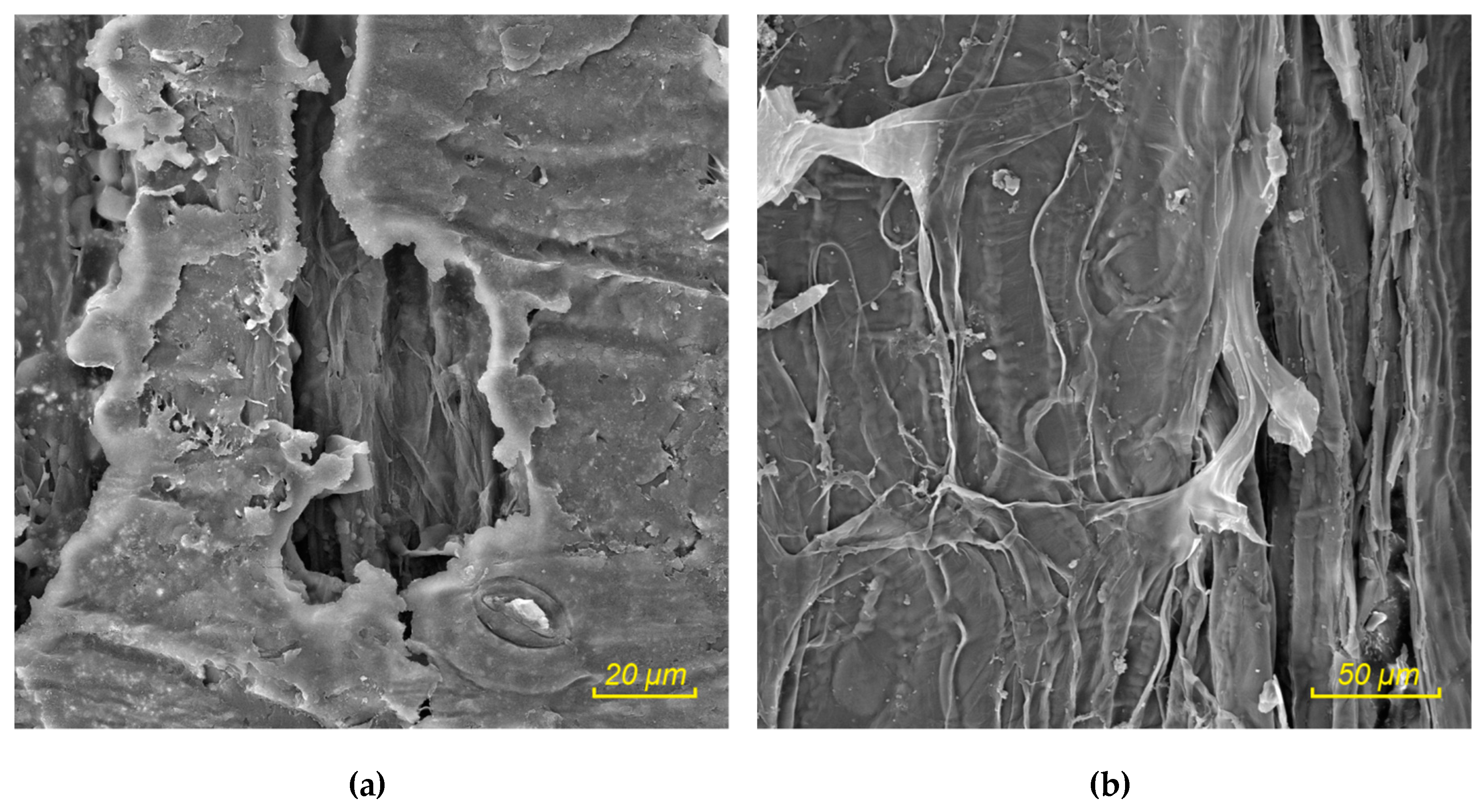 Sustainability 11 04784 g002