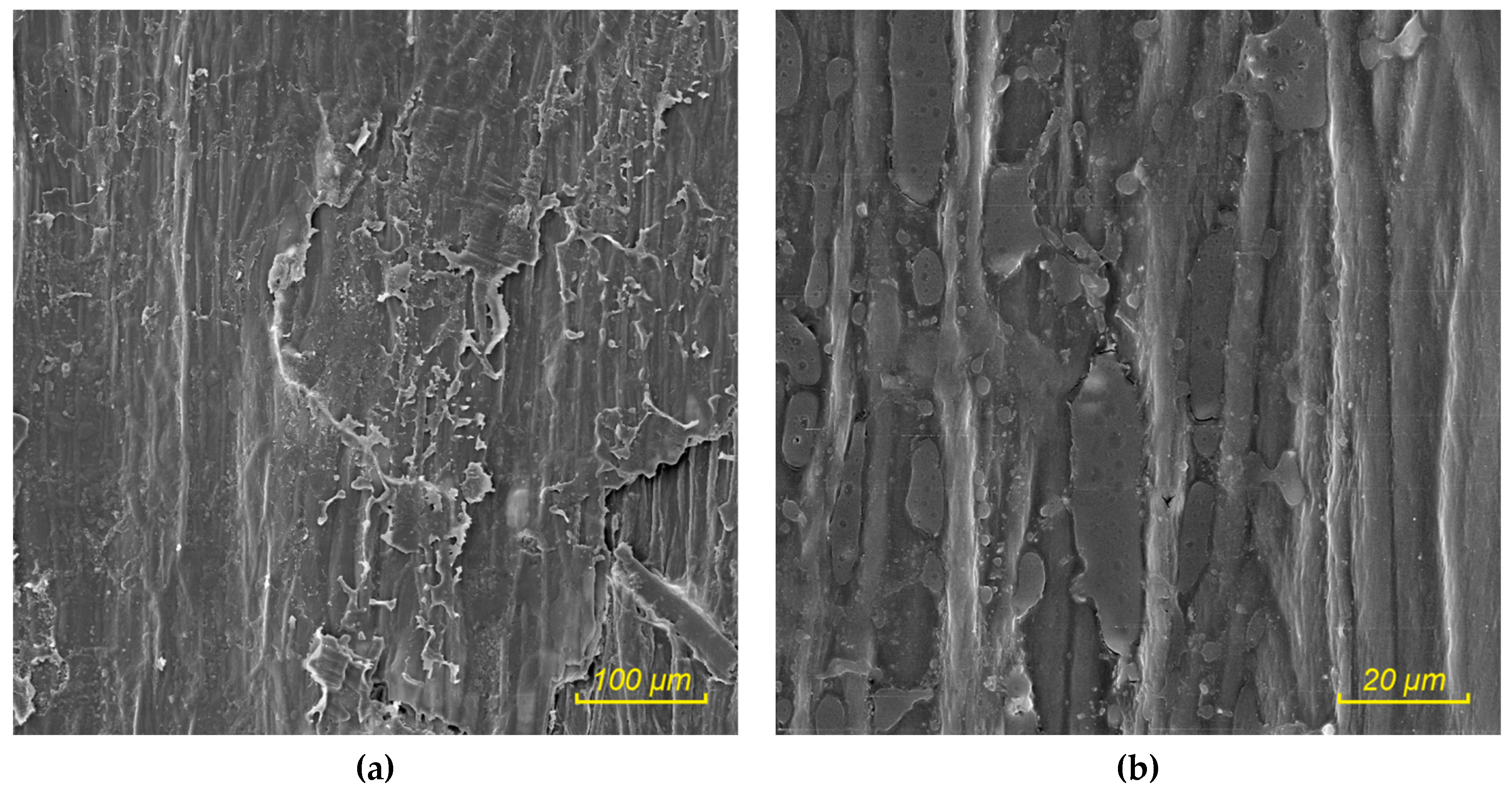 Sustainability 11 04784 g006