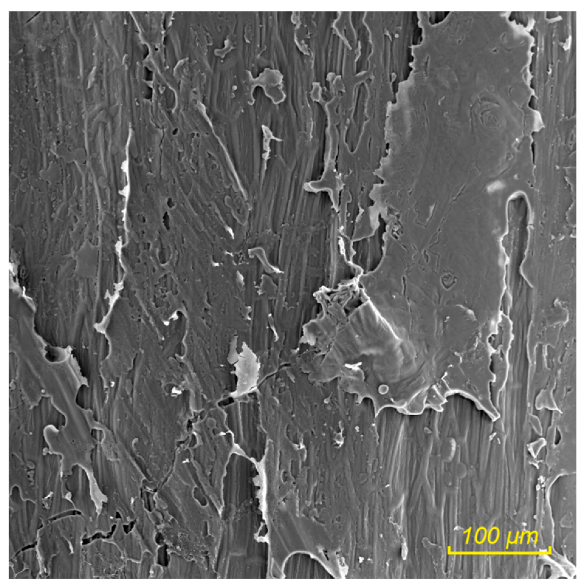 Sustainability 11 04784 g007