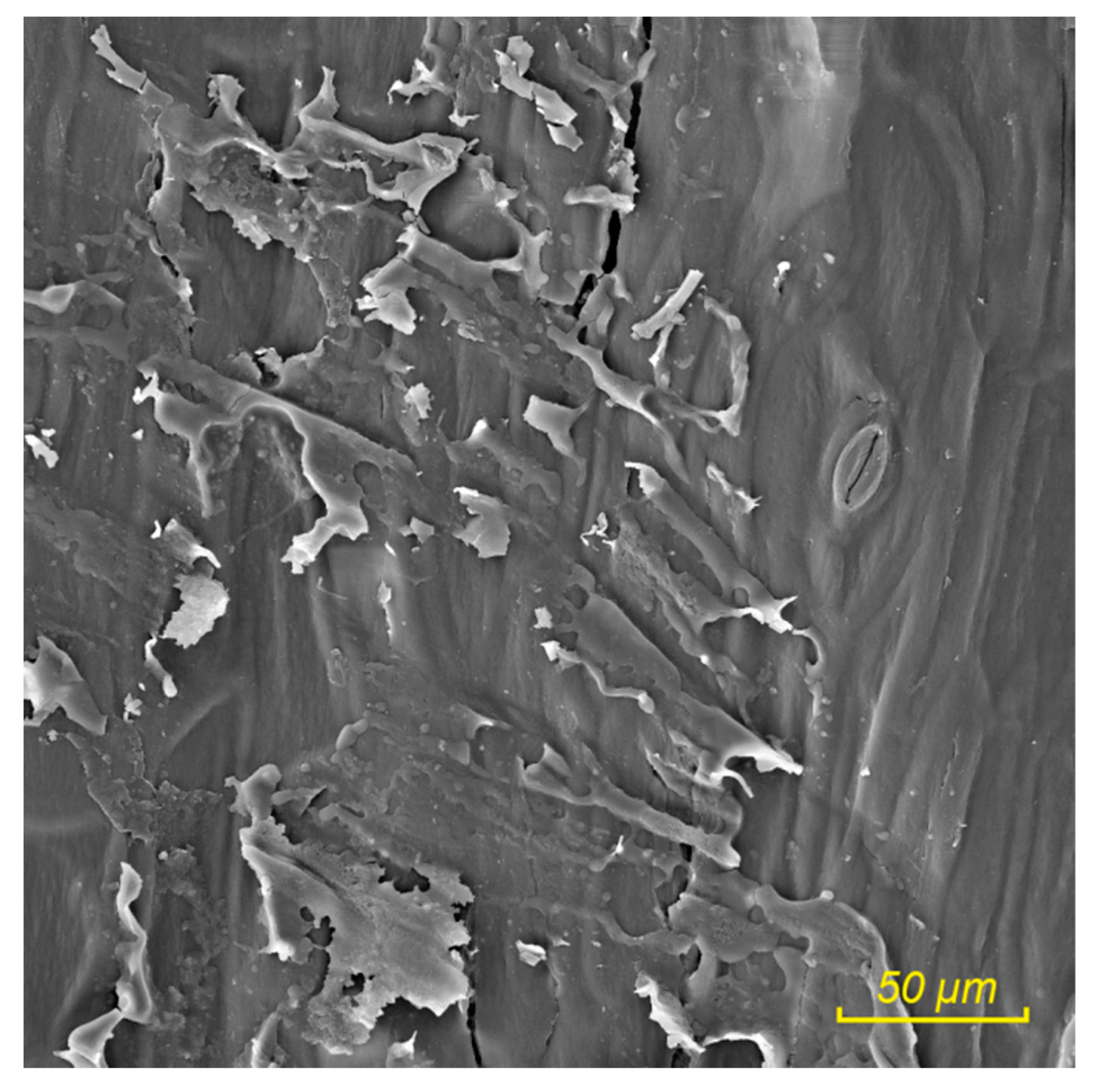 Sustainability 11 04784 g011