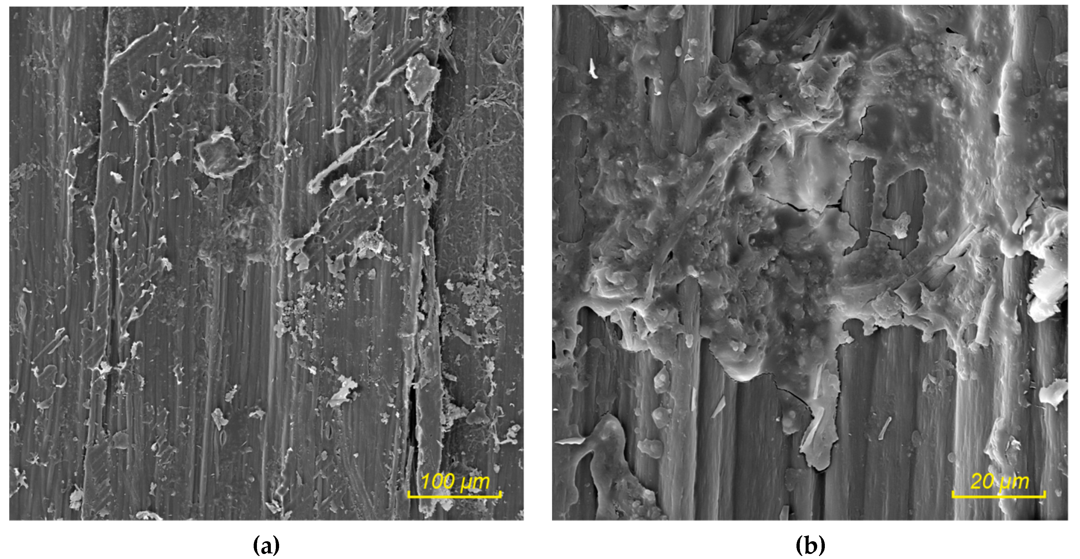 Sustainability 11 04784 g013