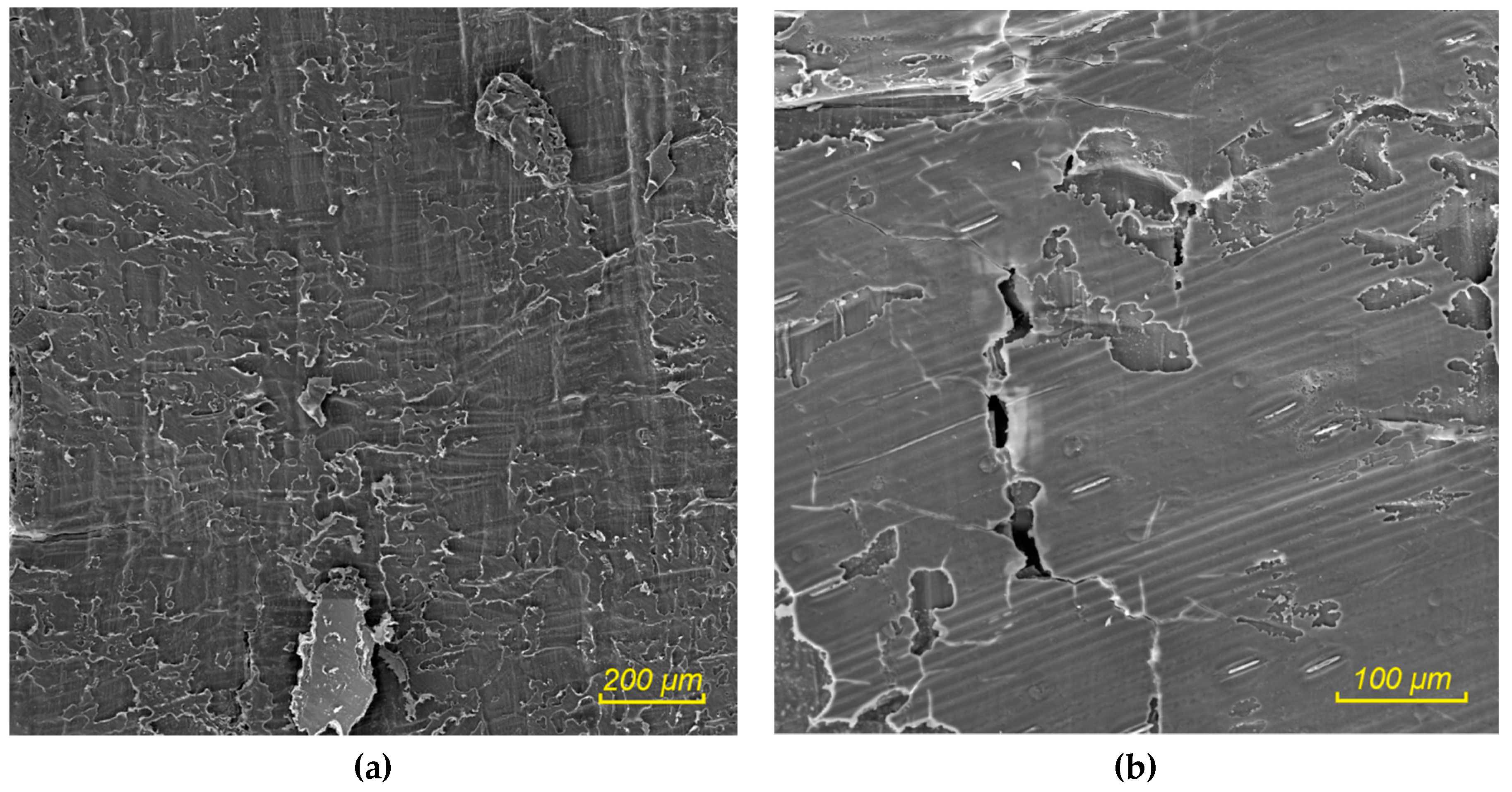 Sustainability 11 04784 g014