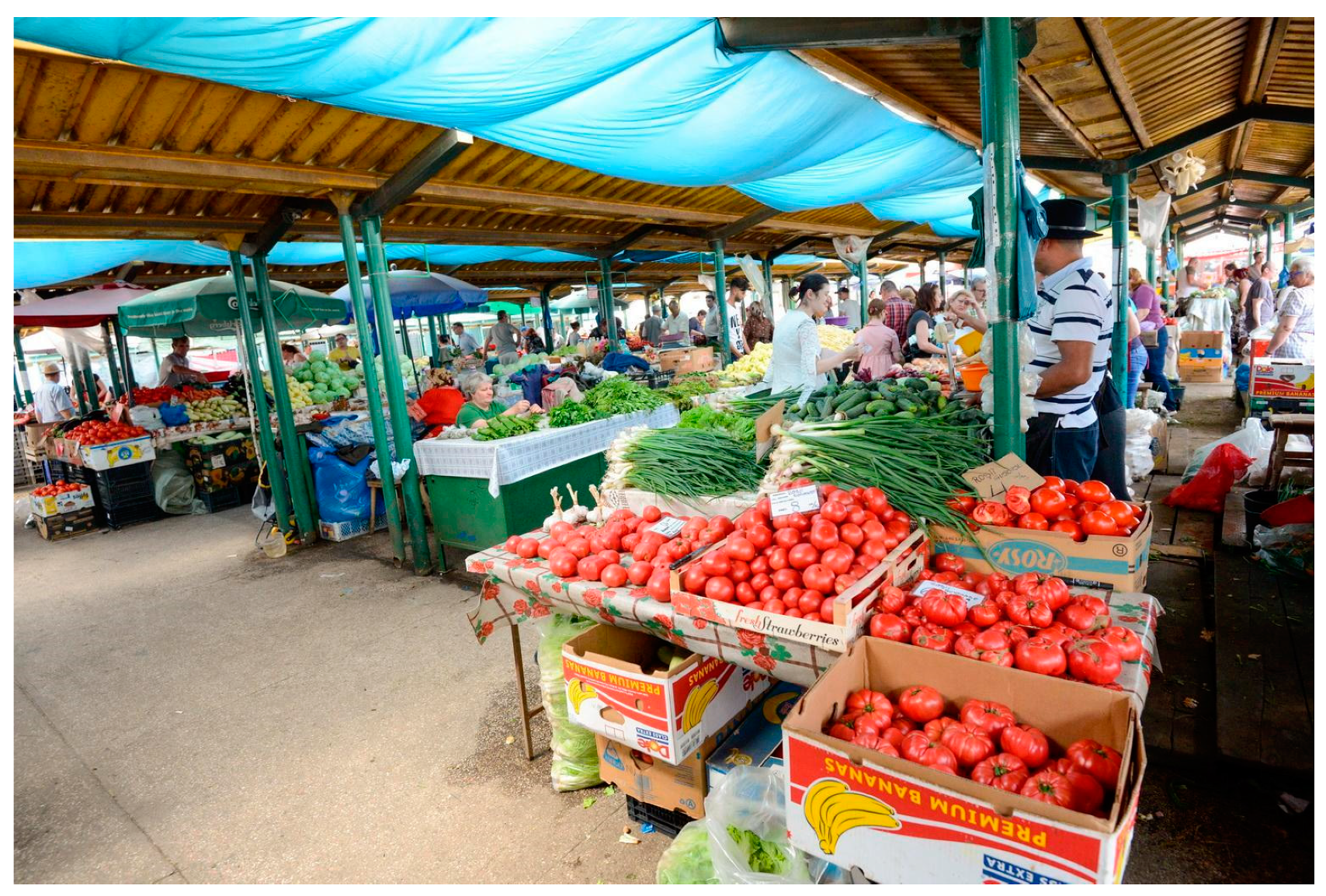 Sustainability 11 04897 g009 550