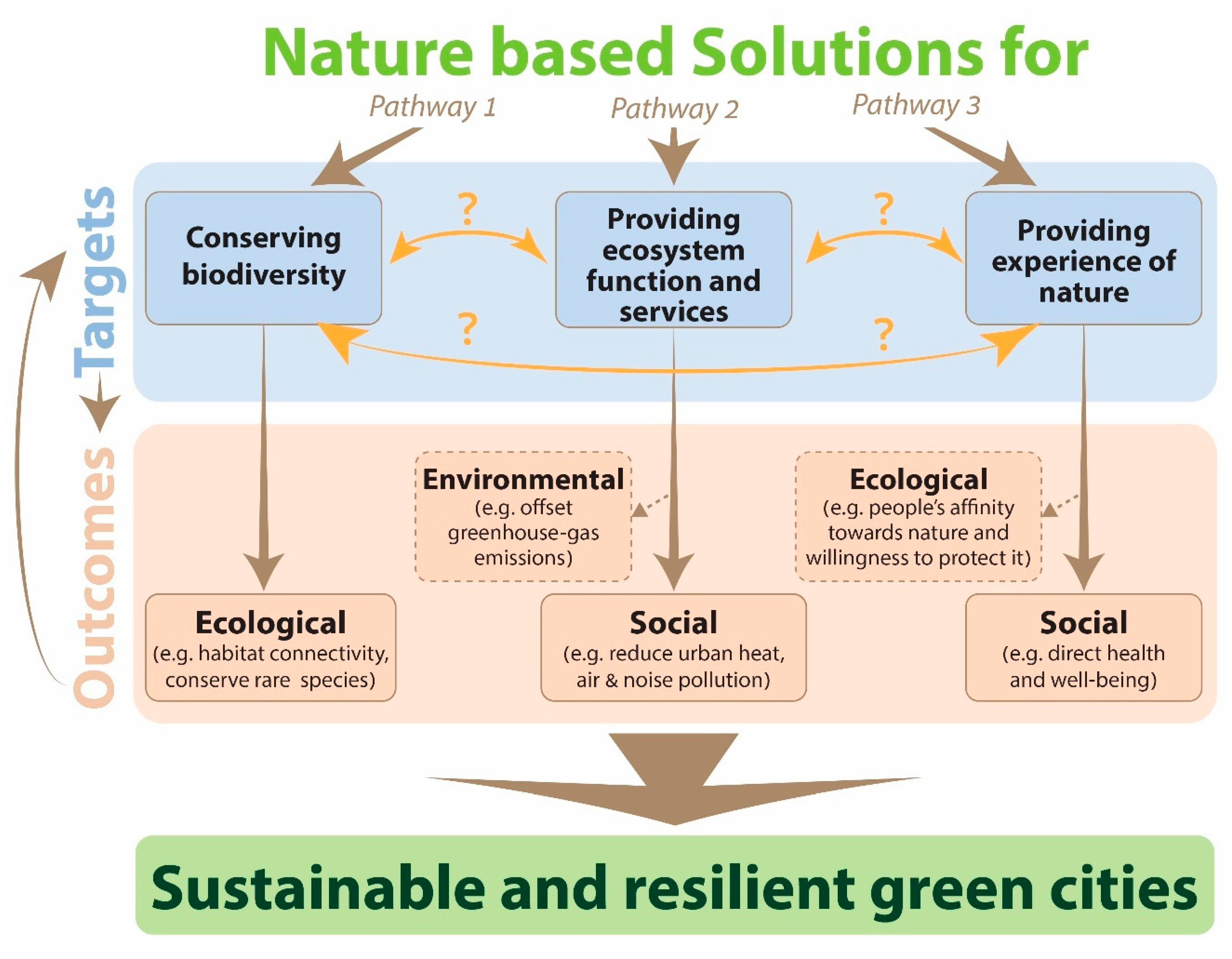 Sustainability | Free Full-Text | Beyond Assuming Co-Benefits in Nature