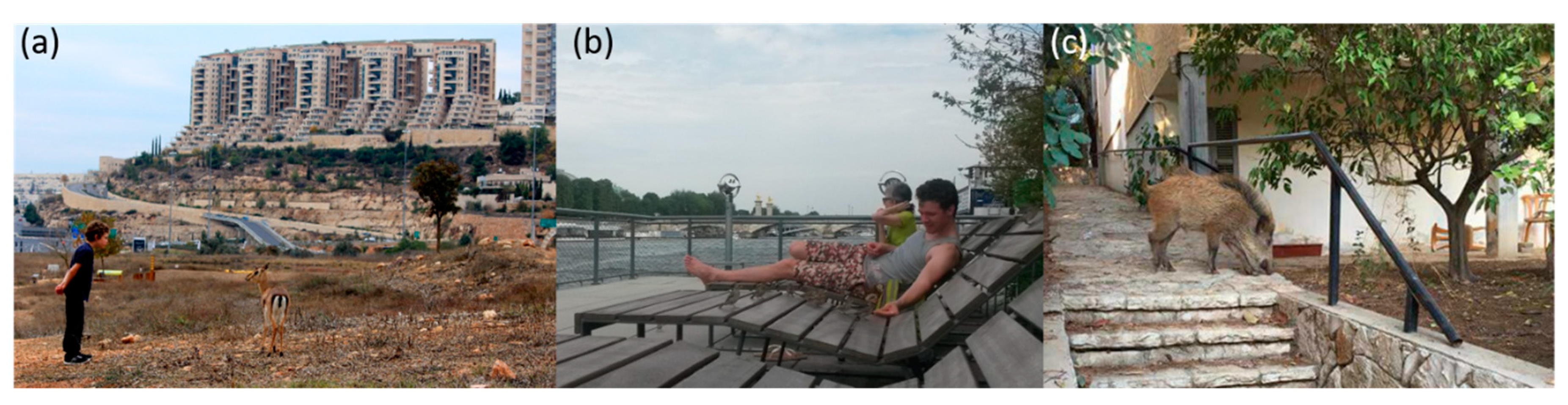 Sustainability 11 04924 g002