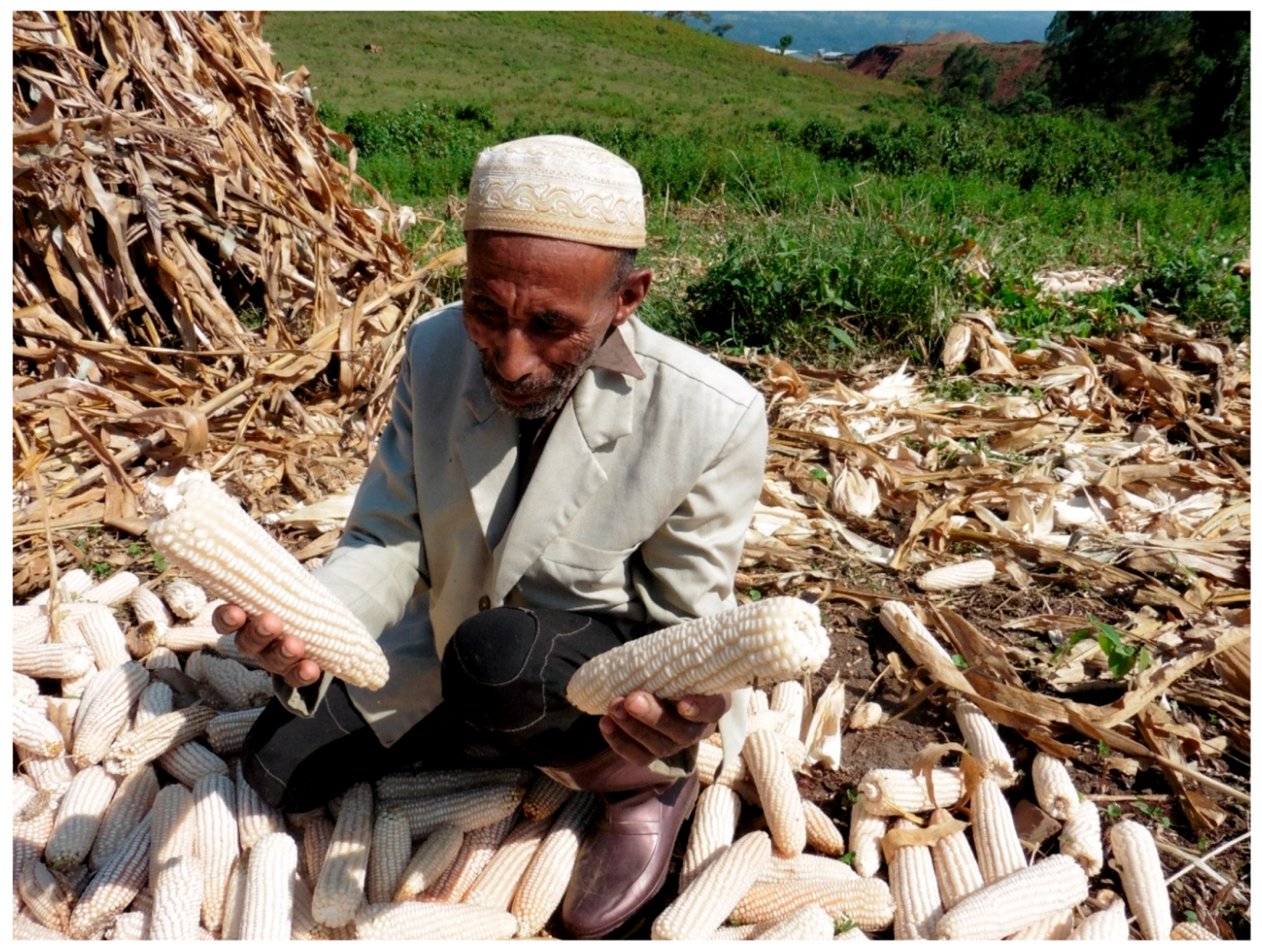 Sustainability 11 04981 g003