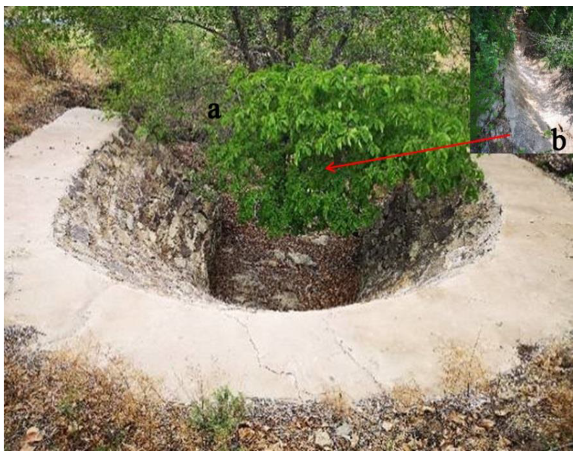 Sustainability 11 05065 g004 Sustainability 11 05065 g004