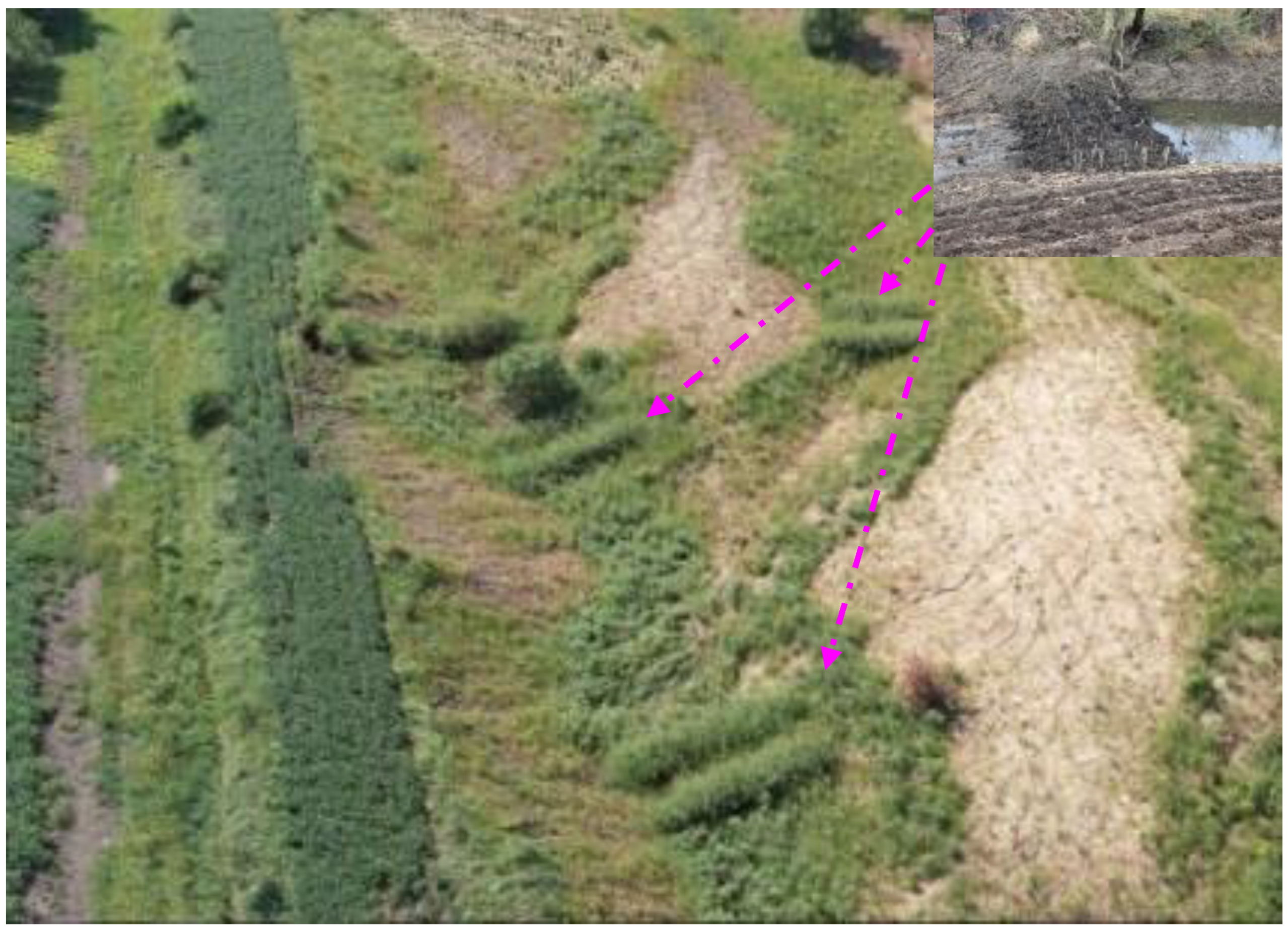 Sustainability 11 05065 g011 Sustainability 11 05065 g011