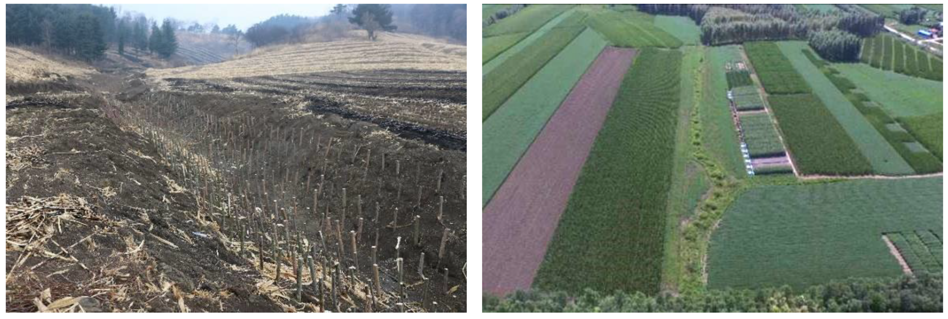 Sustainability 11 05065 g012 Sustainability 11 05065 g012