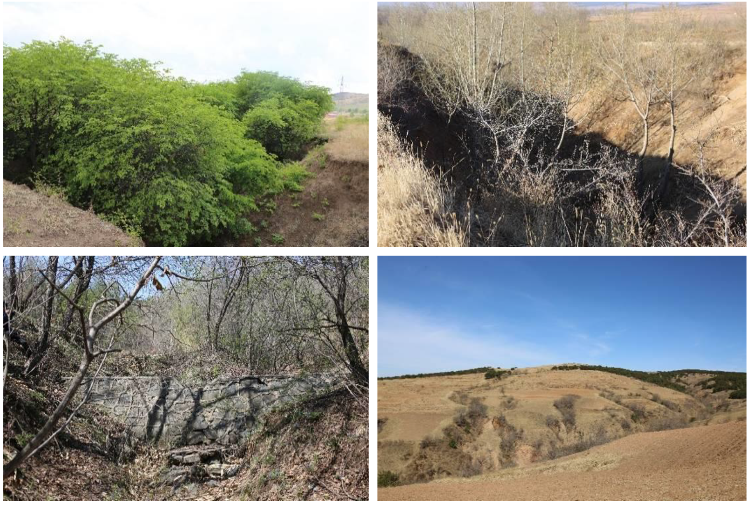 Sustainability 11 05065 g013 Sustainability 11 05065 g013