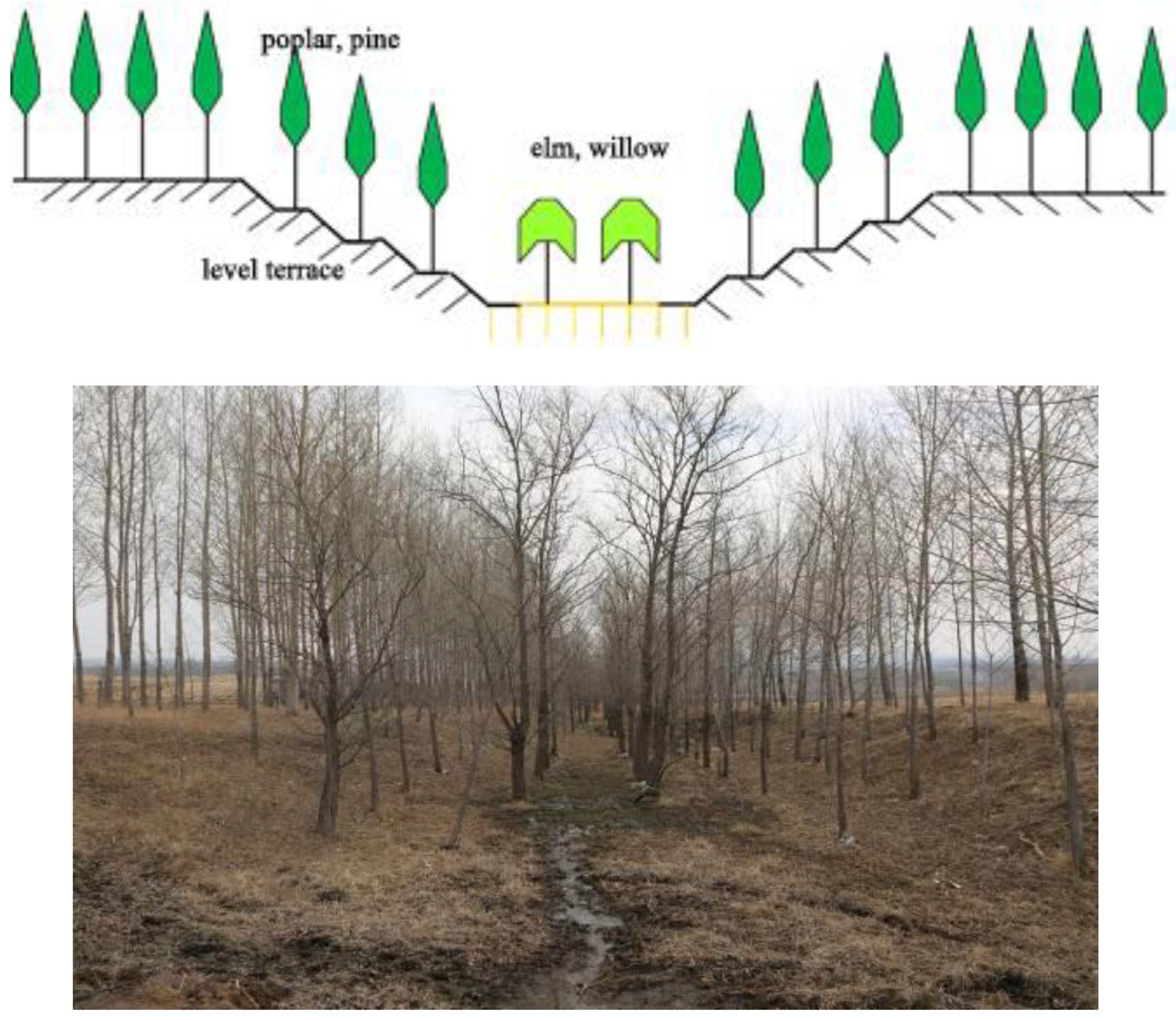 Sustainability 11 05065 g014 Sustainability 11 05065 g014
