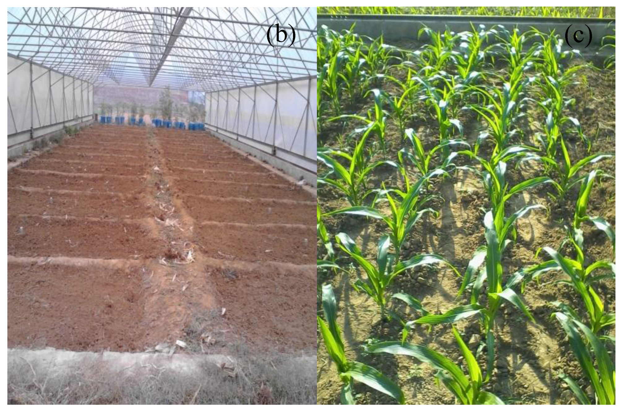 Sustainability 11 05086 g001b Sustainability 11 05086 g001b