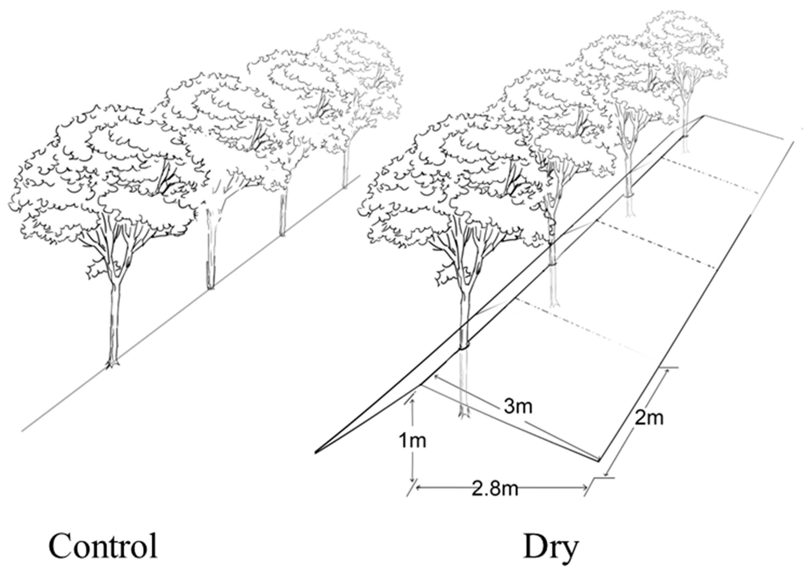 Sustainability 11 05117 g001