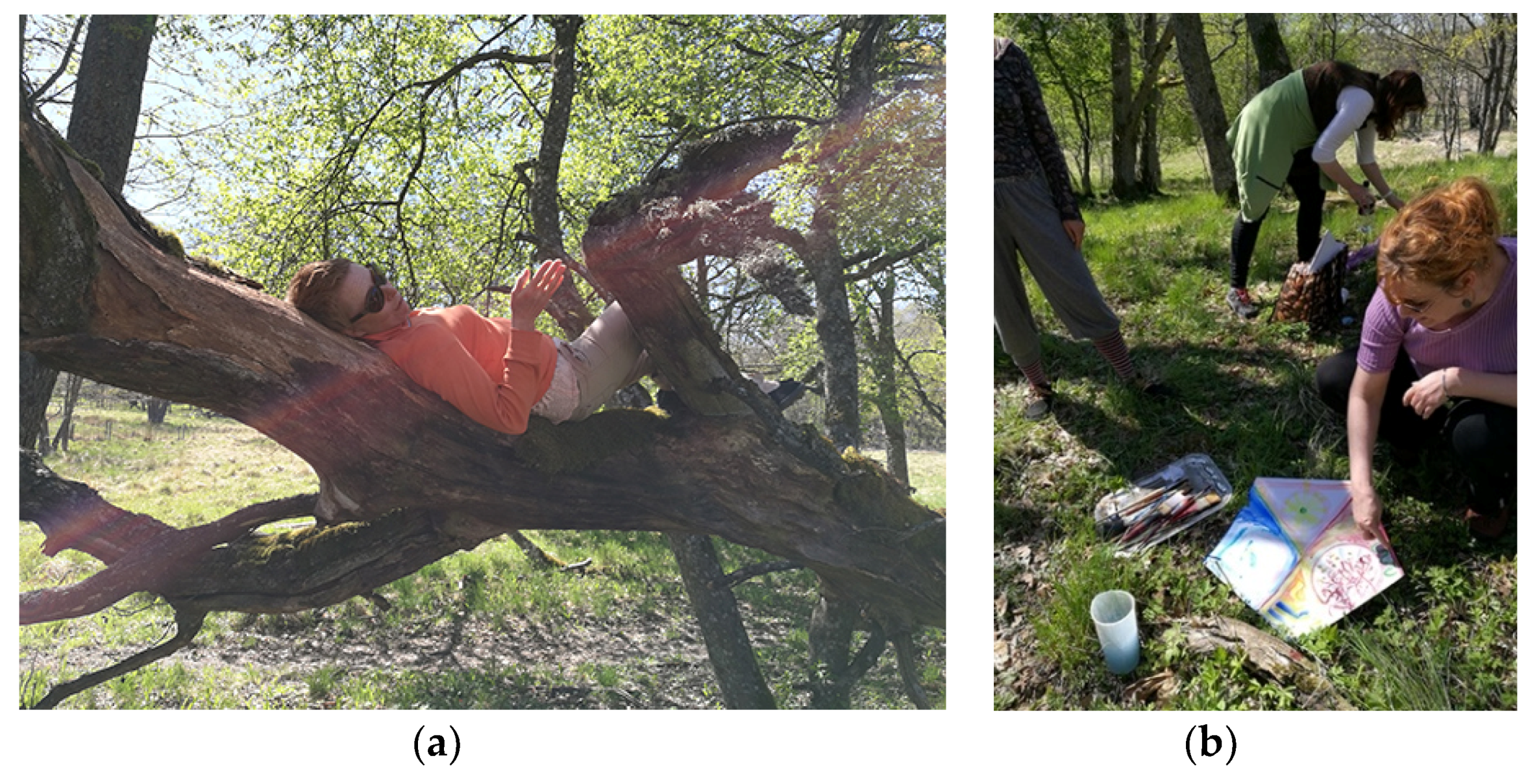 Sustainability 11 05247 g002a