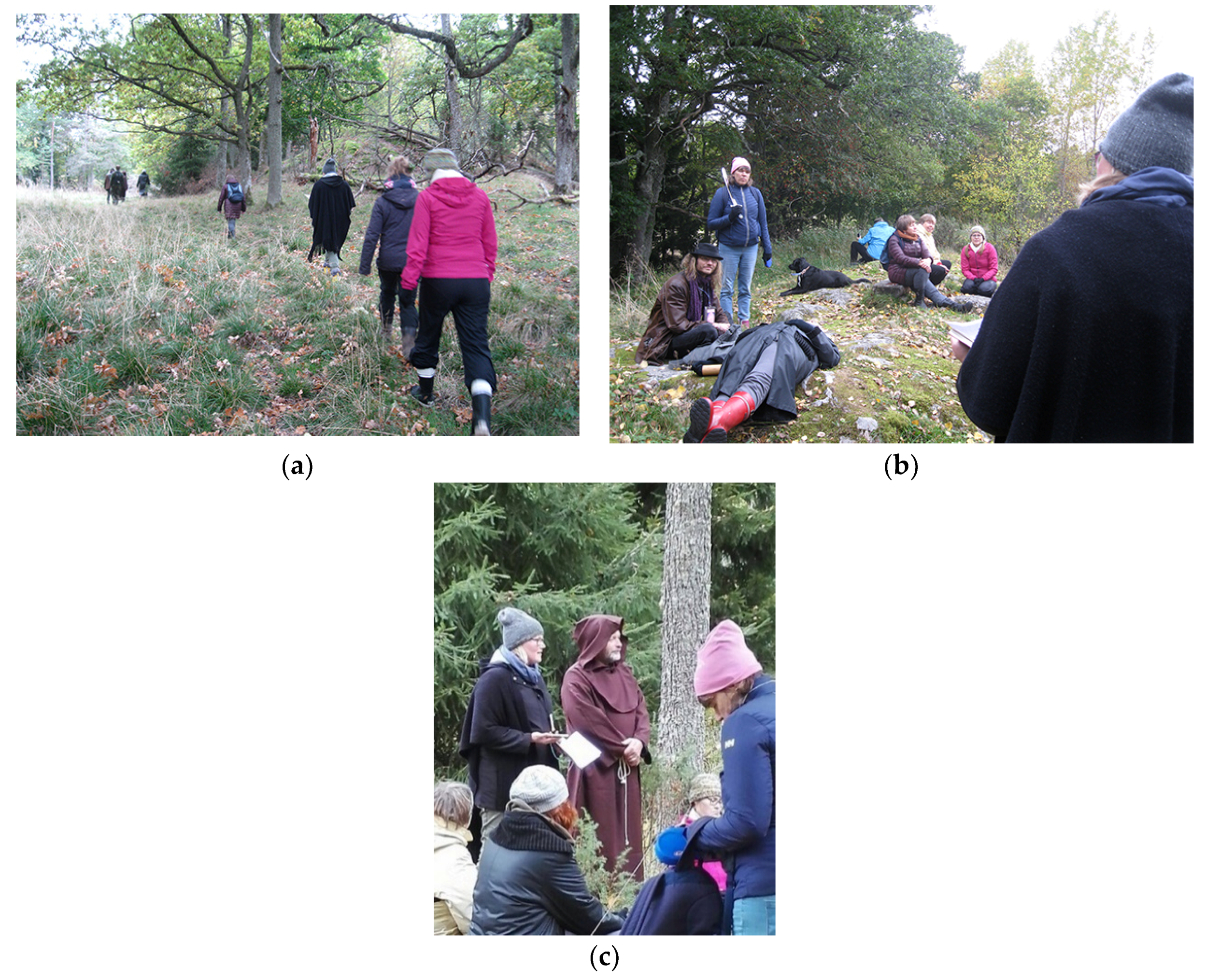 Sustainability 11 05247 g003