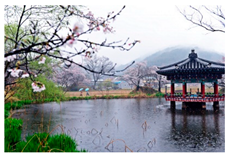 Sustainability 11 05298 i002