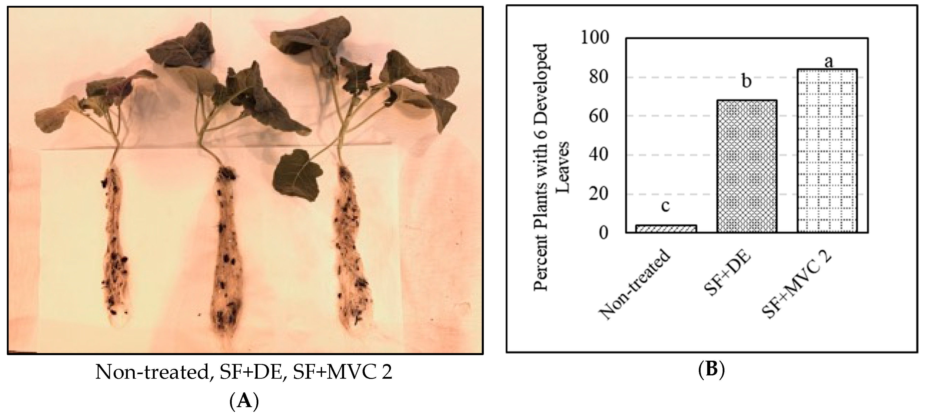 Sustainability 11 05304 g003