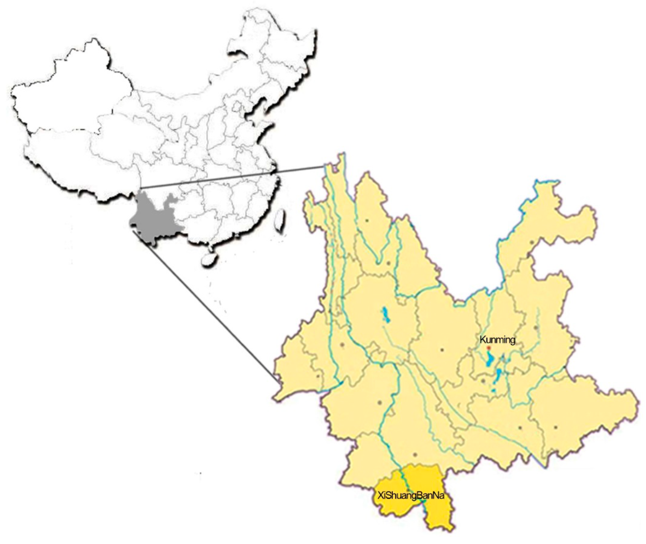 Sustainability 11 05333 g001 550