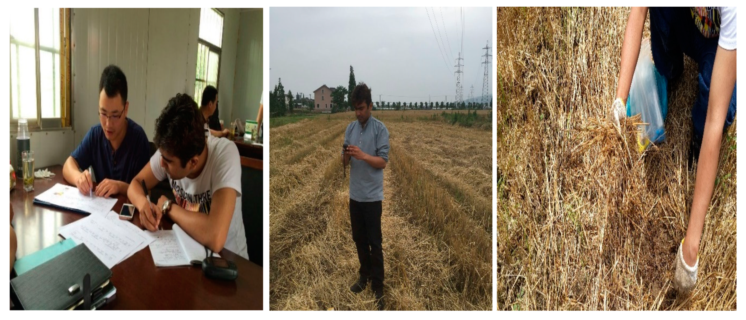 Sustainability 11 05369 g003 Sustainability 11 05369 g003