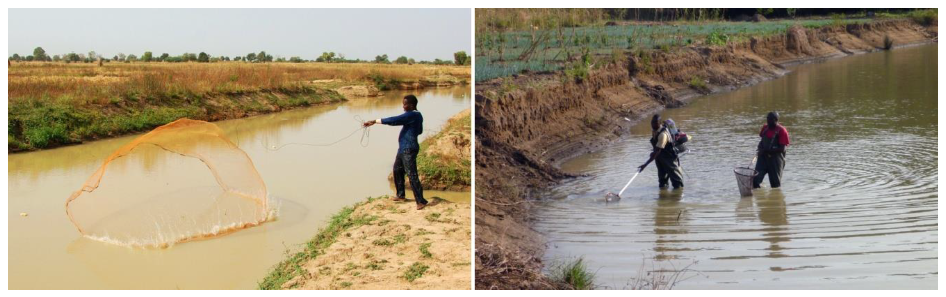 Sustainability 11 05444 g002