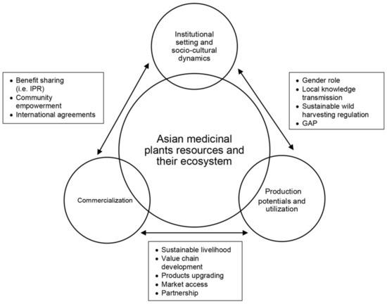 Sustainability Free Full Text Asian Medicinal Plants Production And Utilization Potentials A Review Html