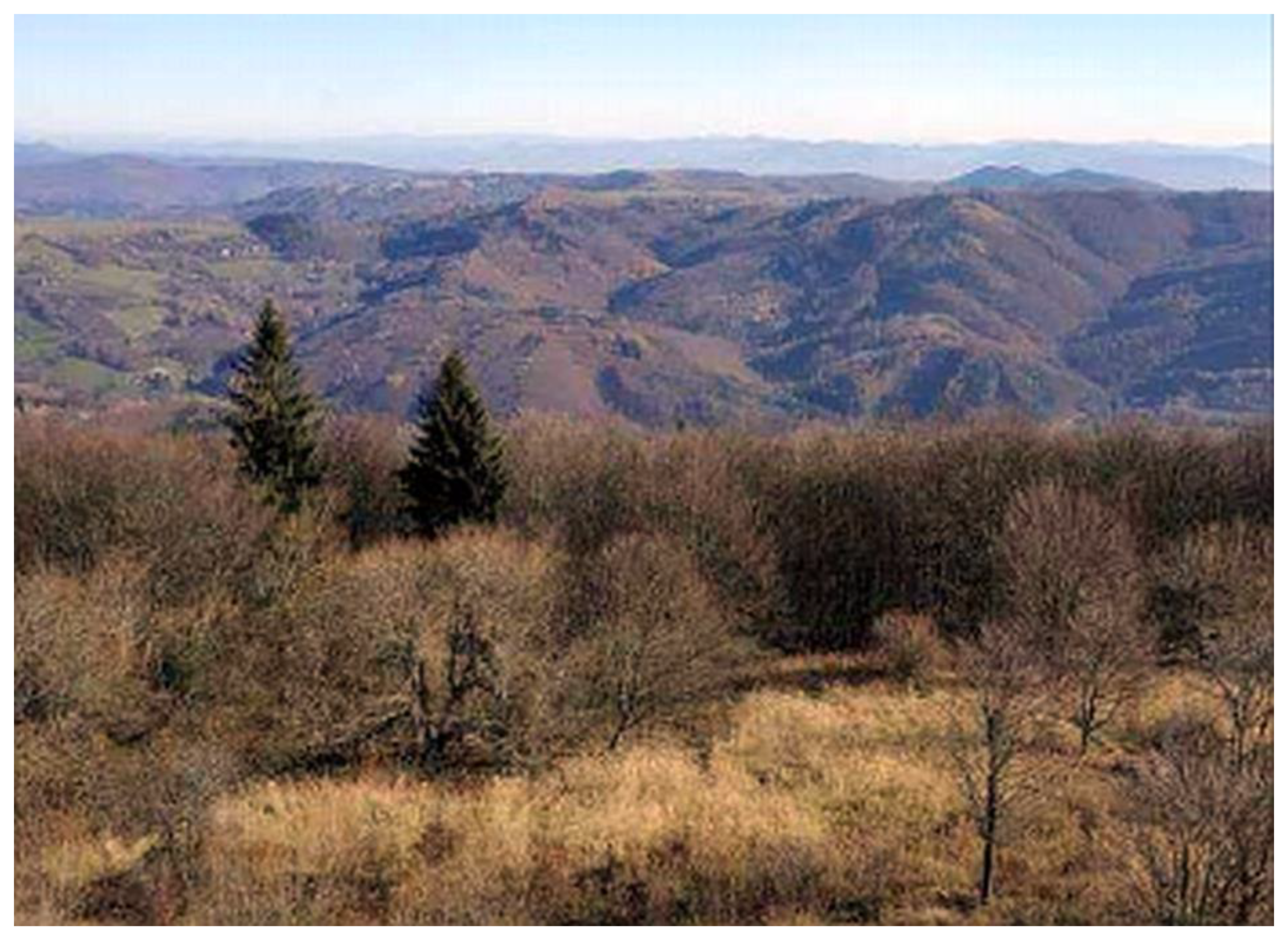 Sustainability 11 05540 g003