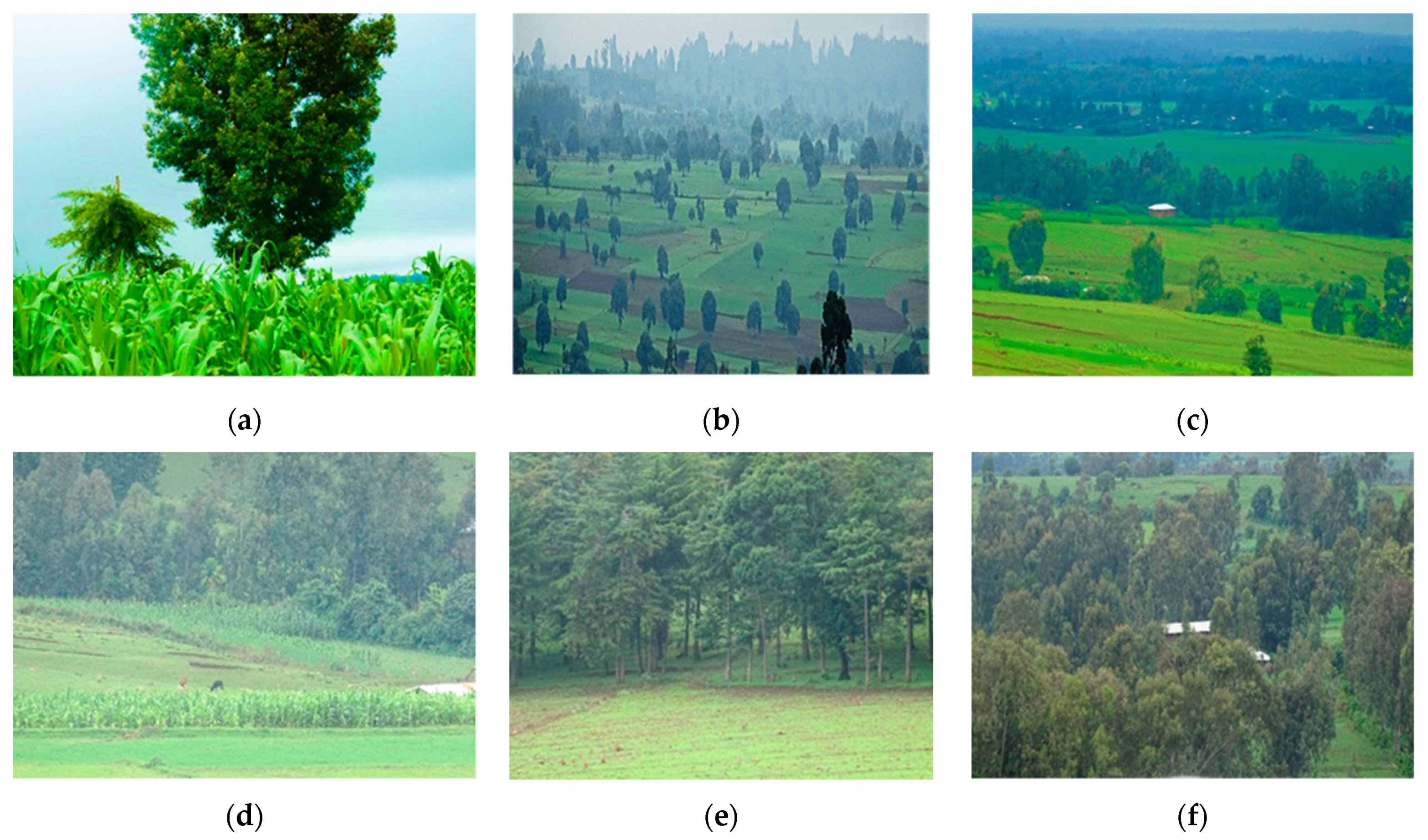 Sustainability 11 05551 g006
