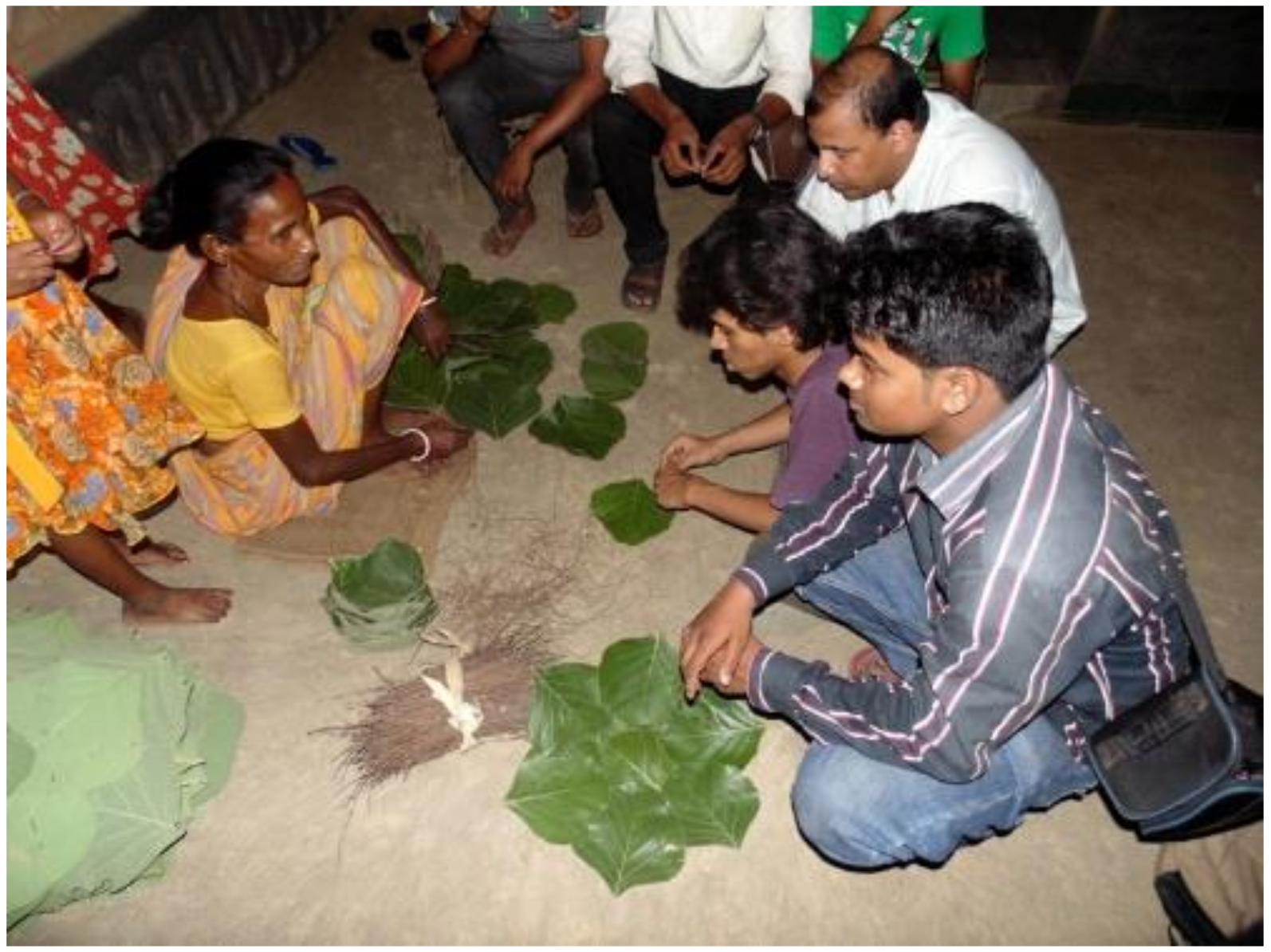 Sustainability 11 05675 g005