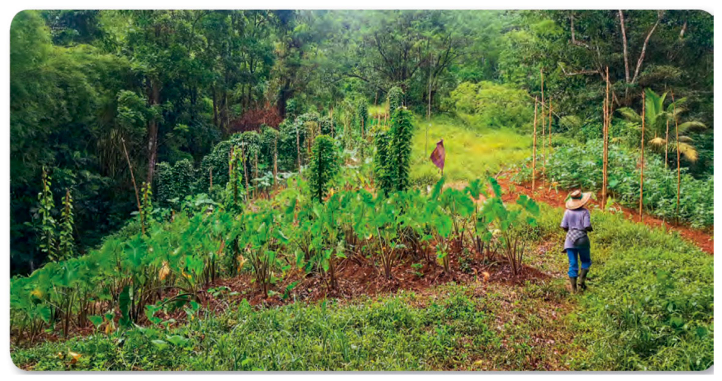 Sustainability 11 05680 g001 Sustainability 11 05680 g001