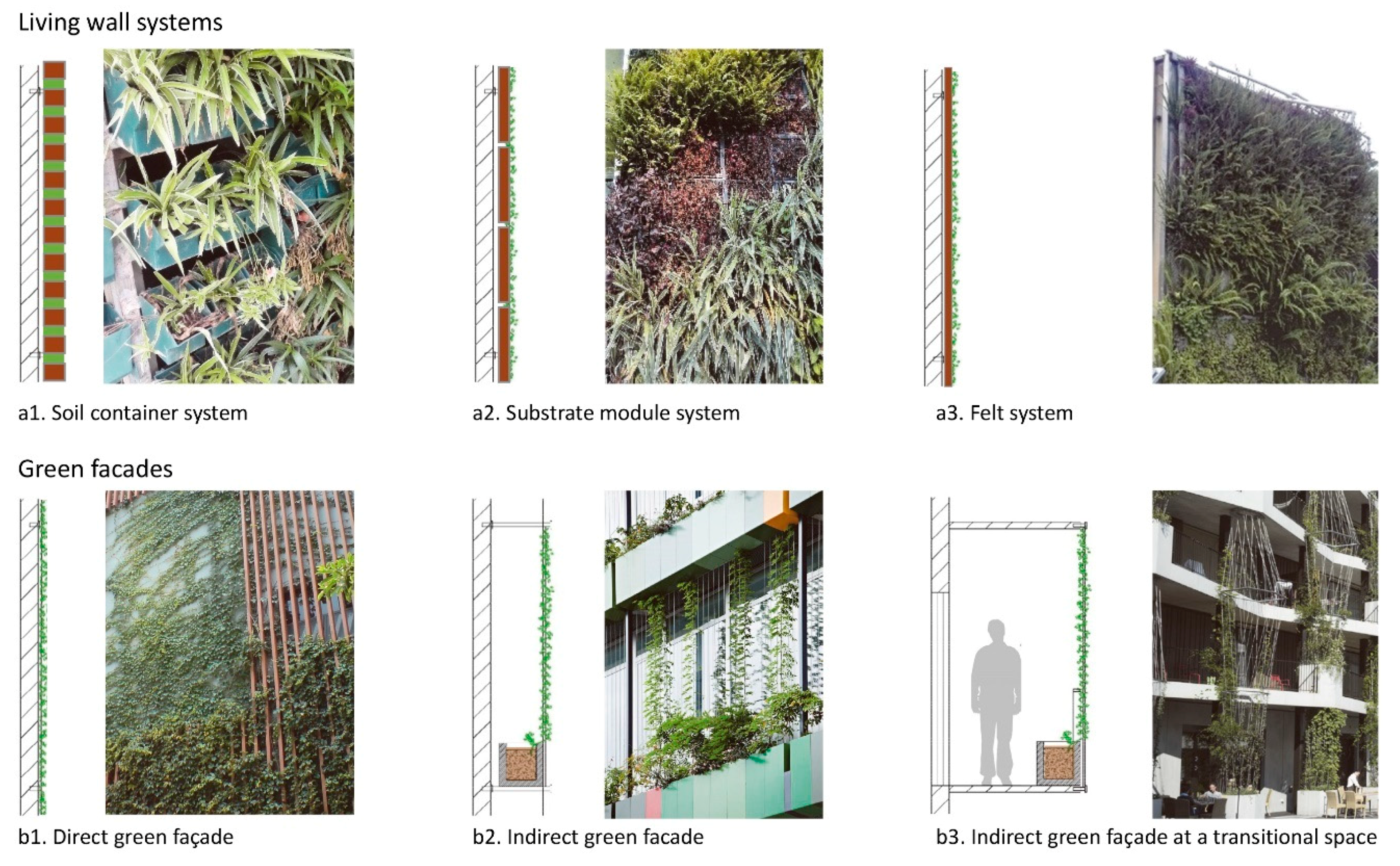 Sustainability Free Full Text Green Facade Effects On Thermal Environment In Transitional Space Field Measurement Studies And Computational Fluid Dynamics Simulations Html