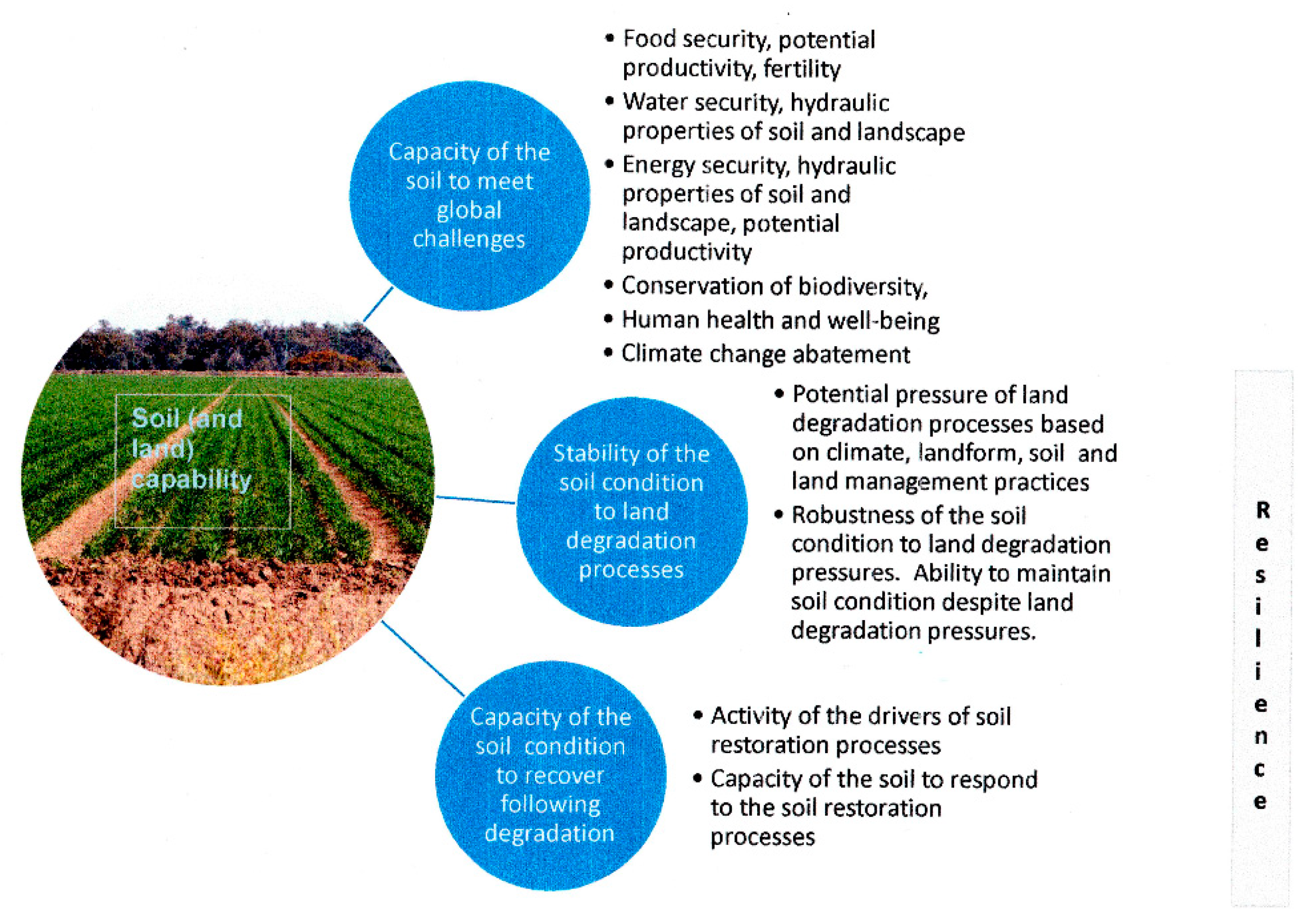 Sustainability 11 05706 g001 Sustainability 11 05706 g001
