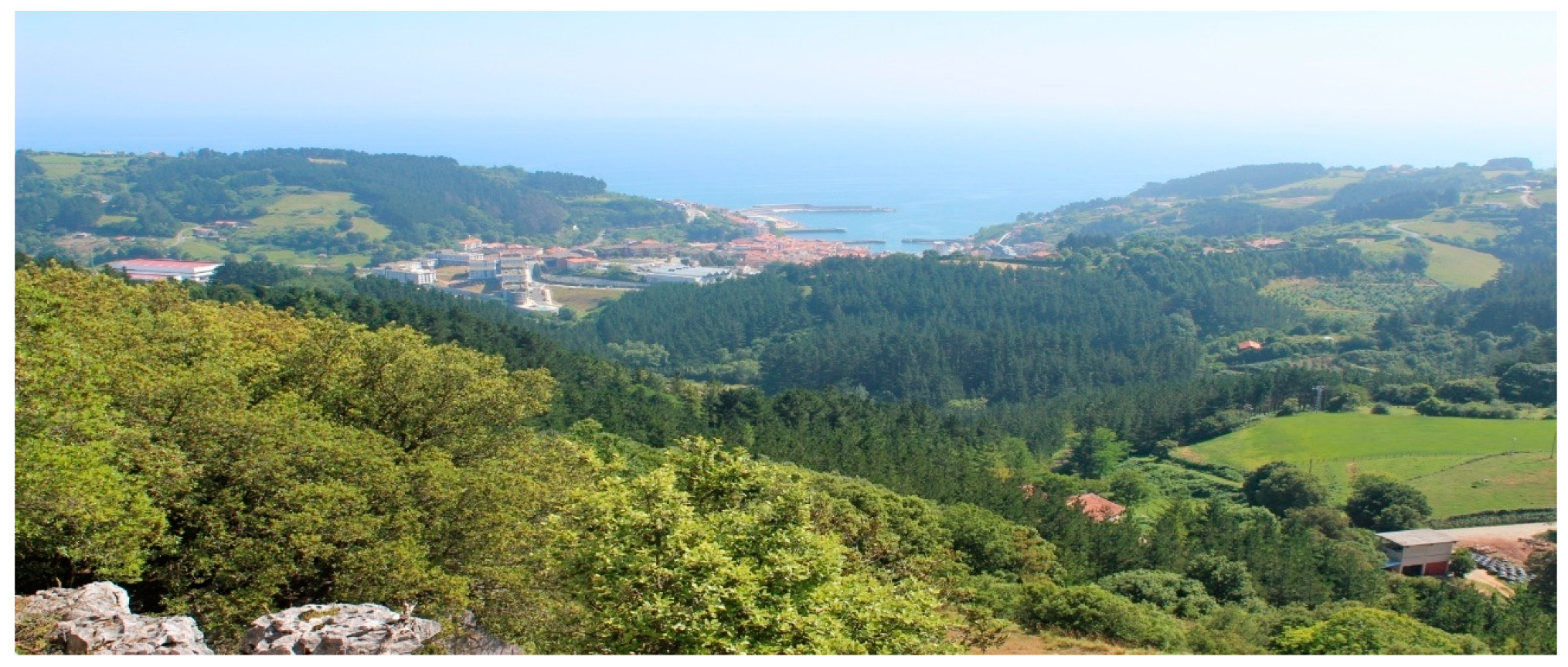 Sustainability 11 05746 g001