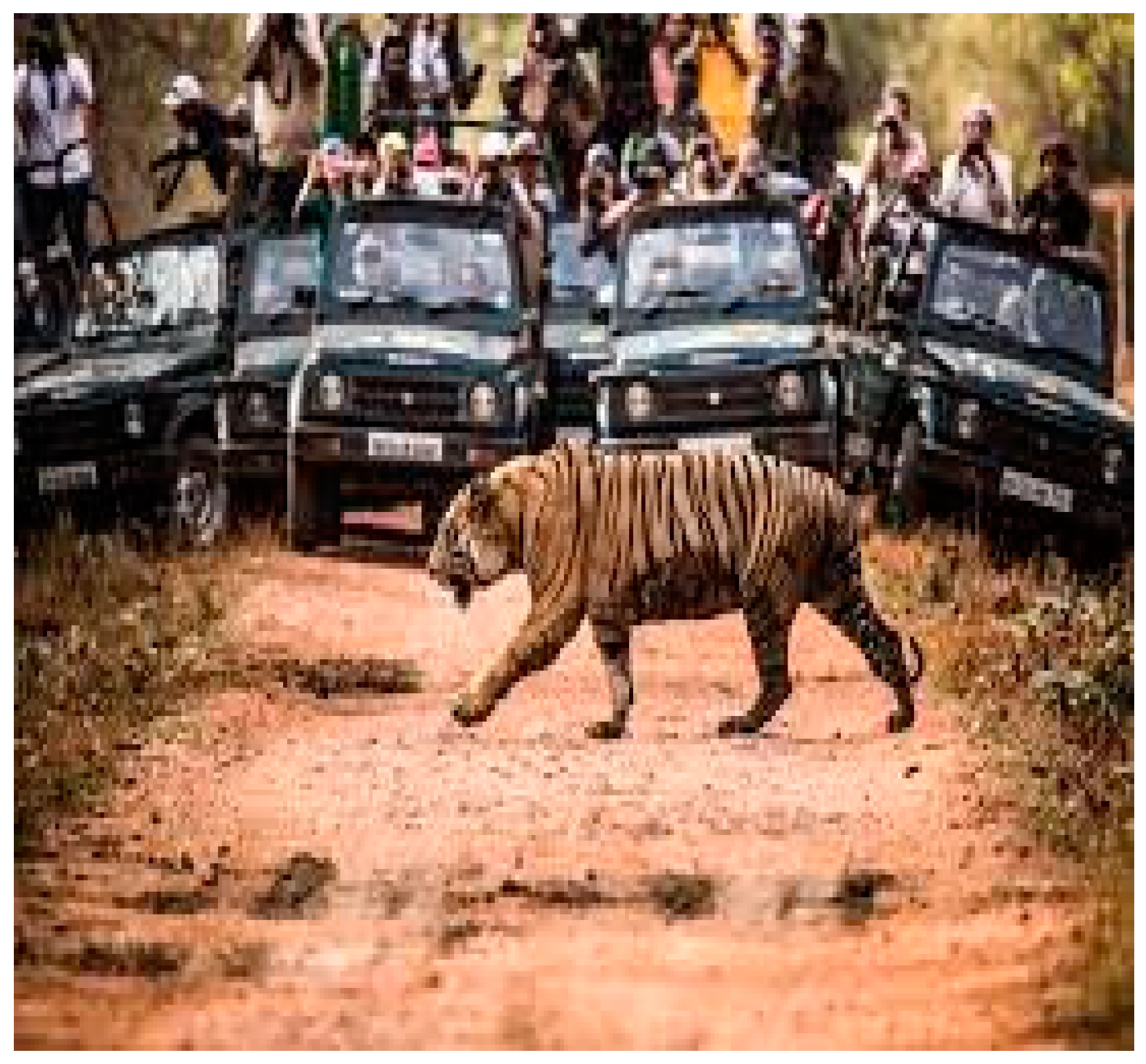 Sustainability 11 05766 g003