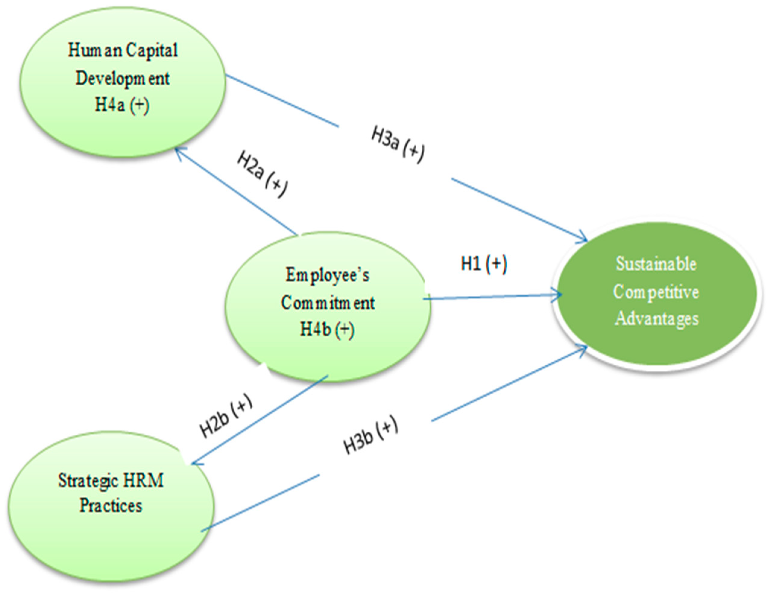 Хьюмен систем. Капитал Девелопмент. HRM (Human Capital Management) система. Human Capital Review. Методика Human Capital Review.