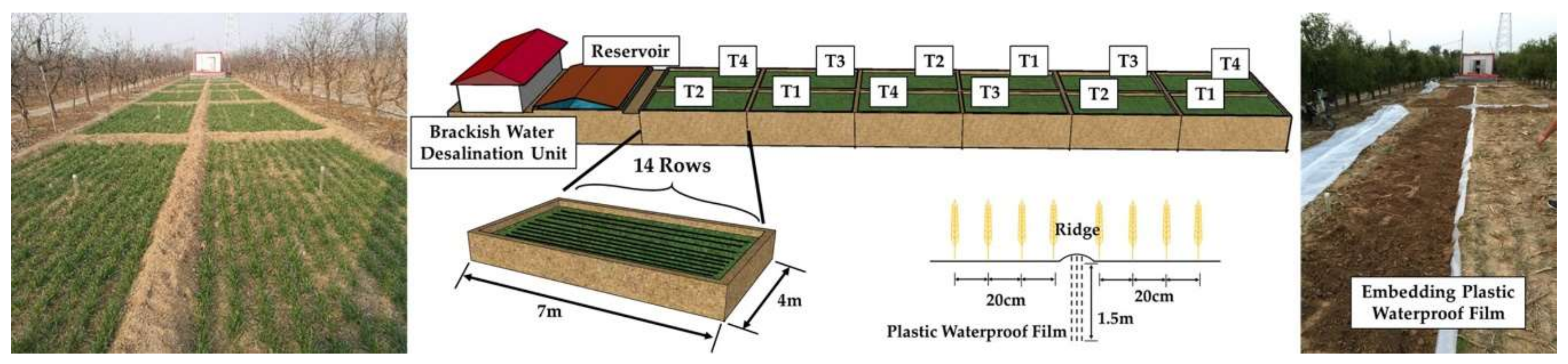 Sustainability 11 05801 g003