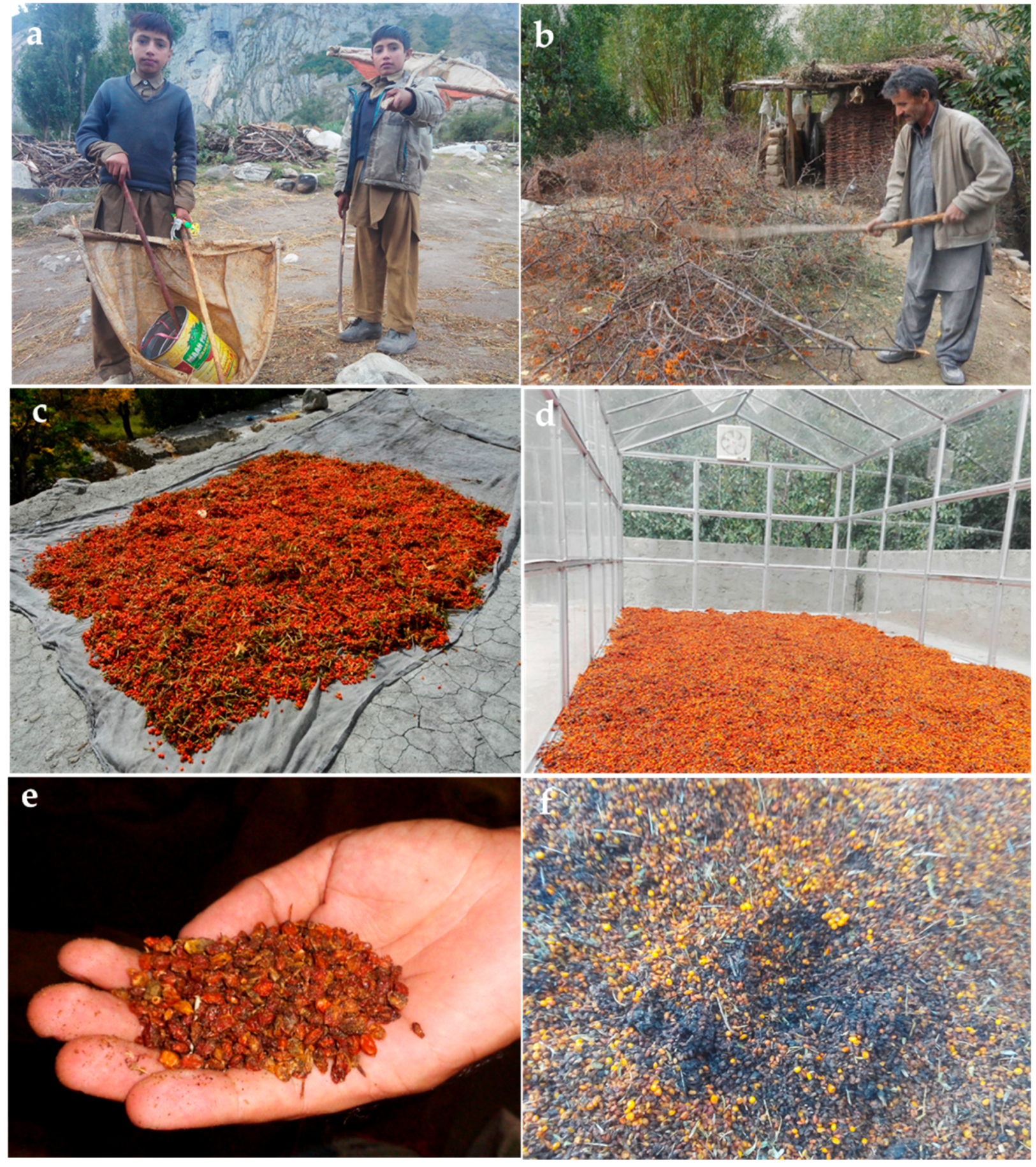 Sustainability 11 05840 g001 550