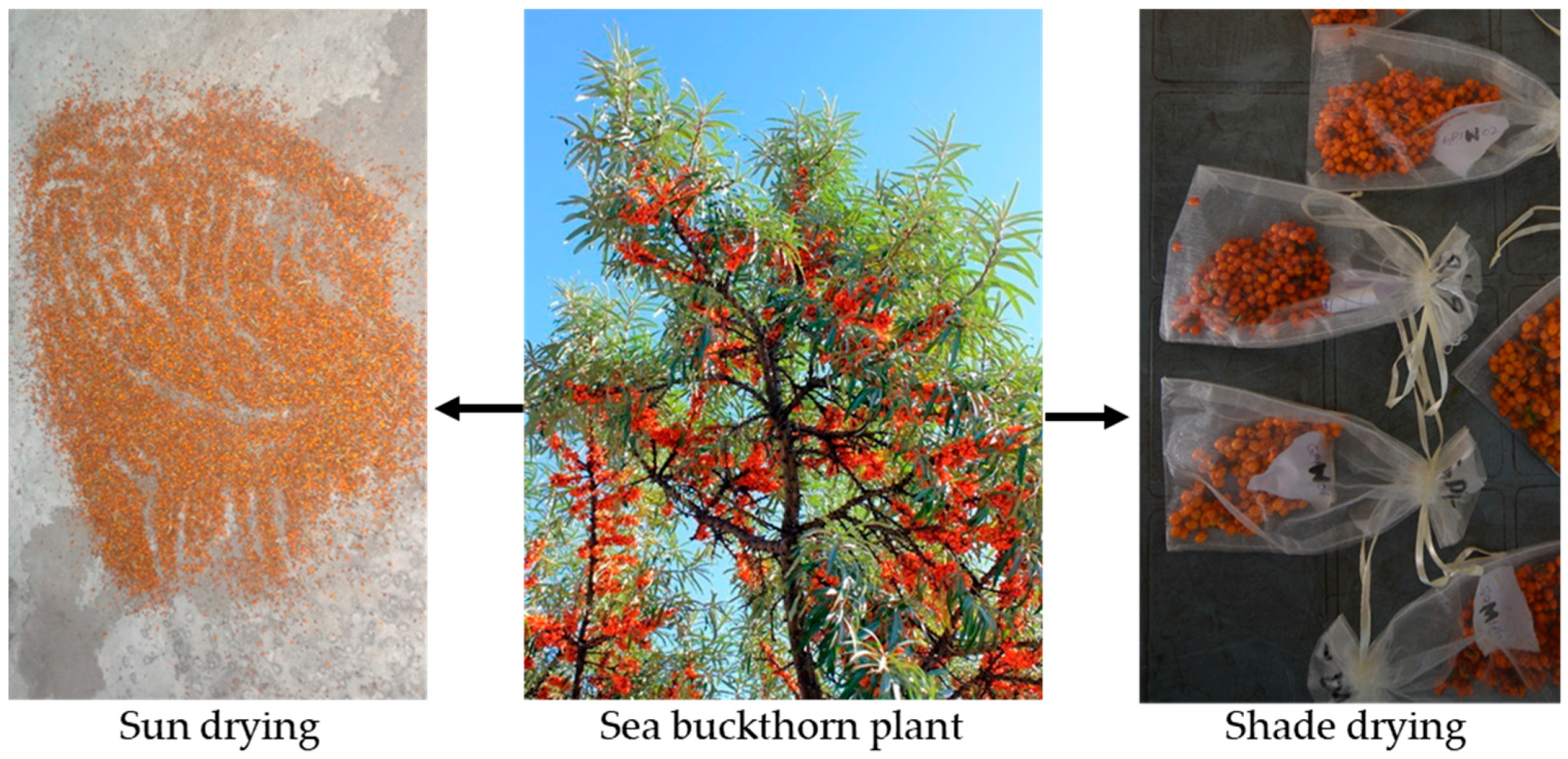 Sustainability 11 05840 g003 550