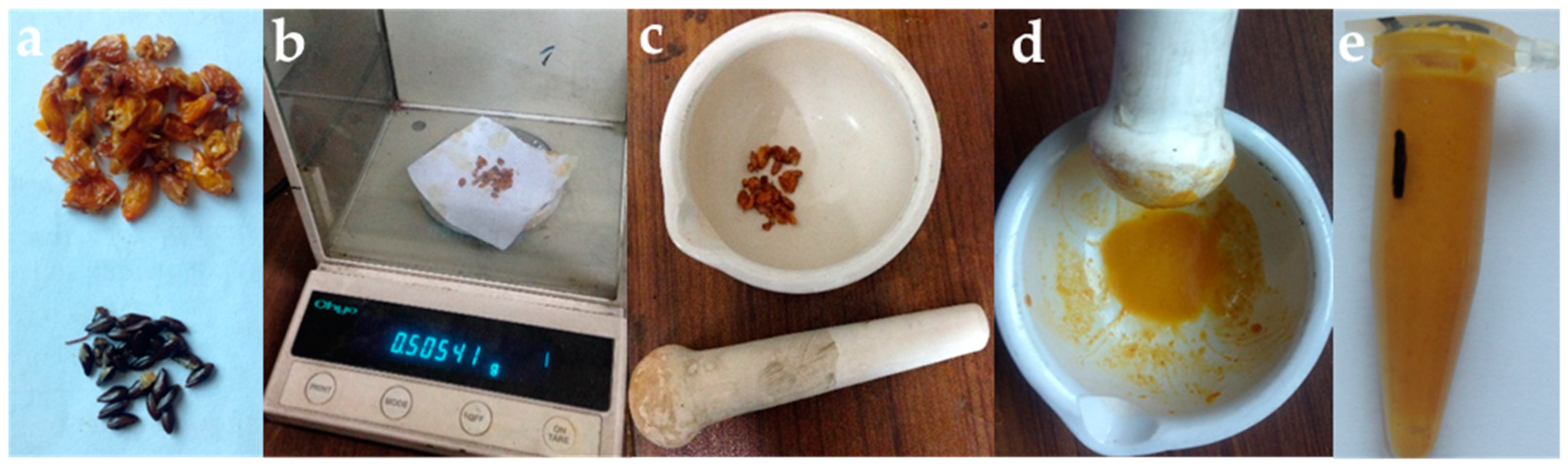 Sustainability 11 05840 g004 550