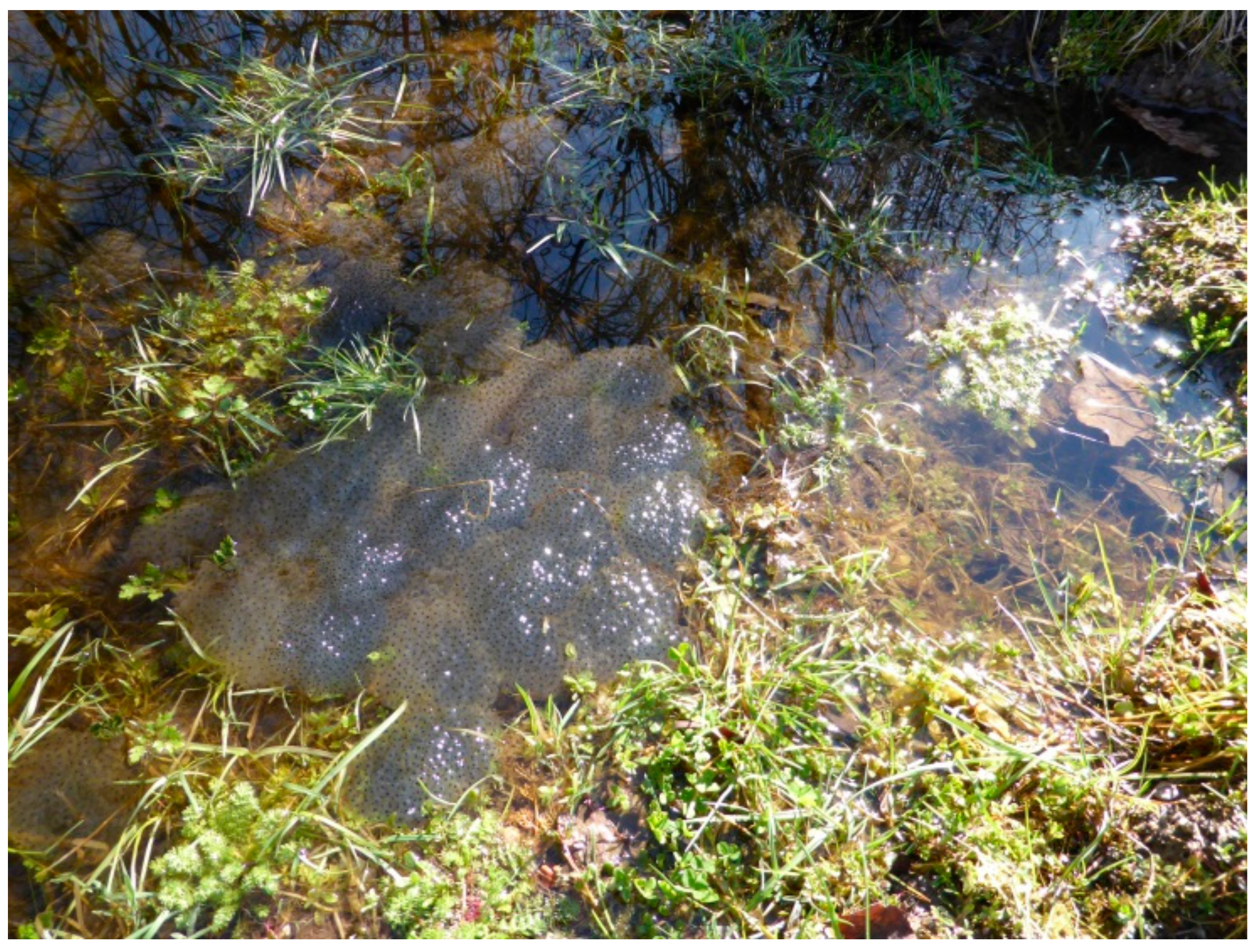 Sustainability 11 05846 g004 Sustainability 11 05846 g004