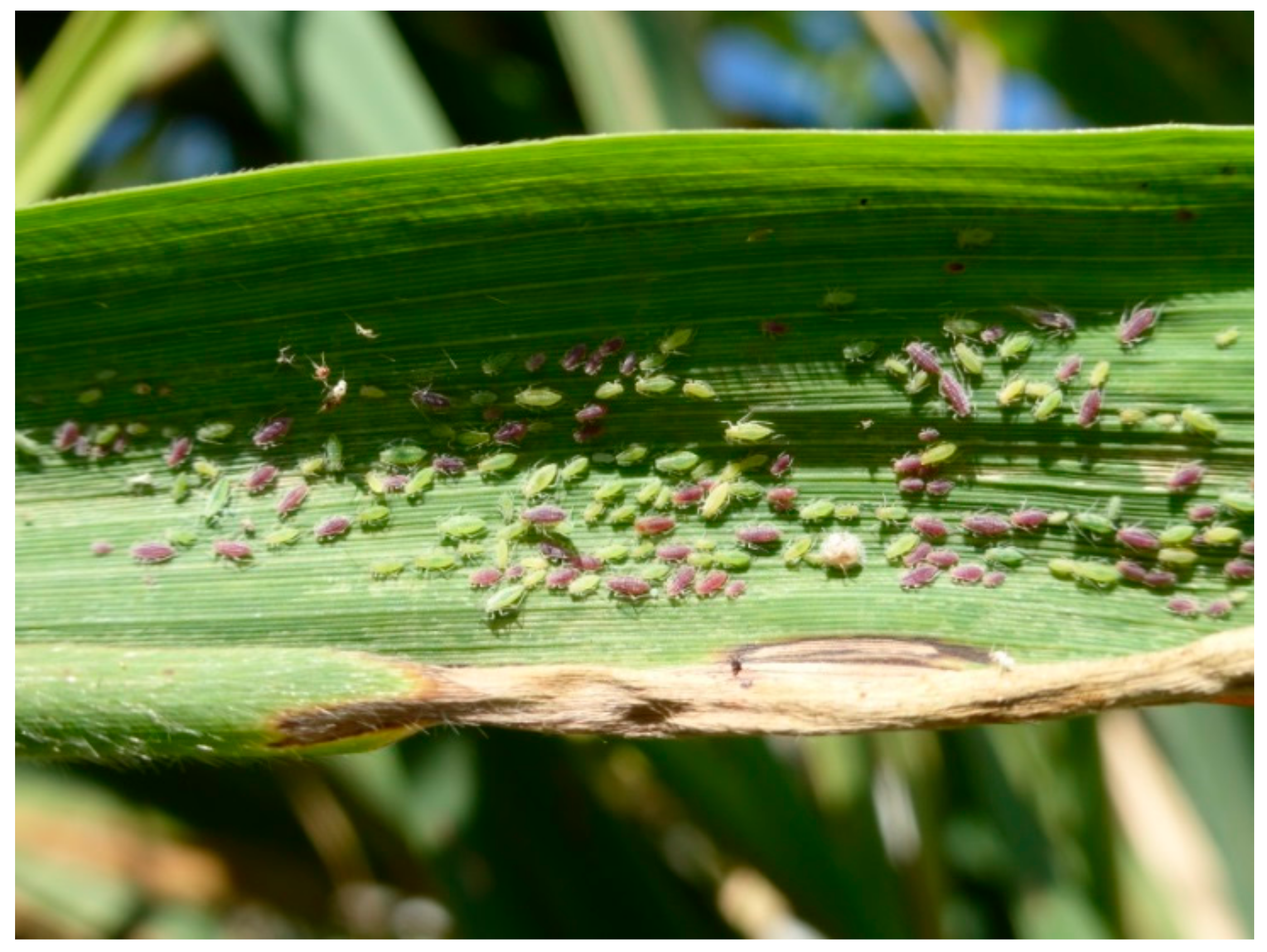 Sustainability 11 05846 g006 Sustainability 11 05846 g006