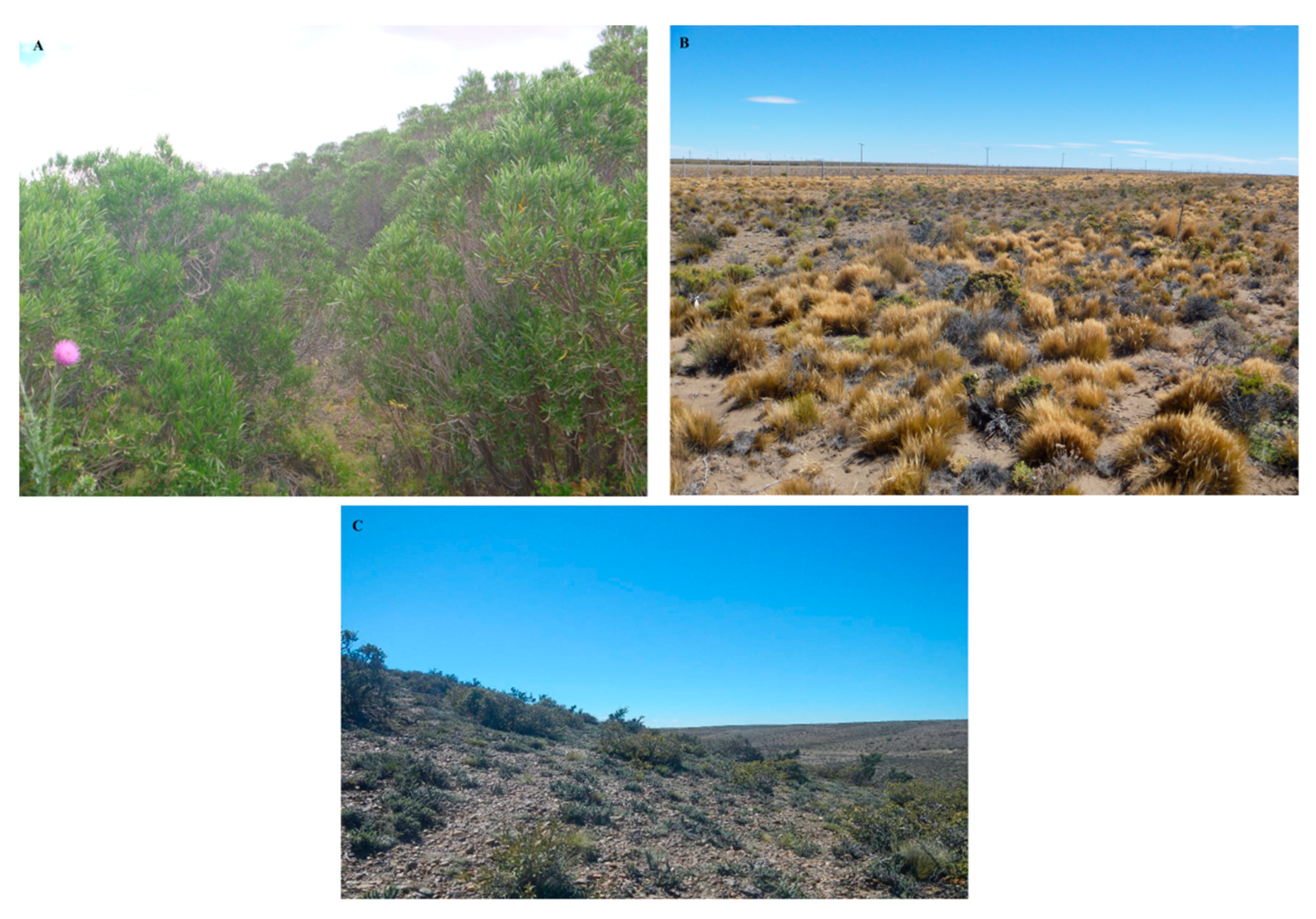 Sustainability 11 05956 g004 Sustainability 11 05956 g004