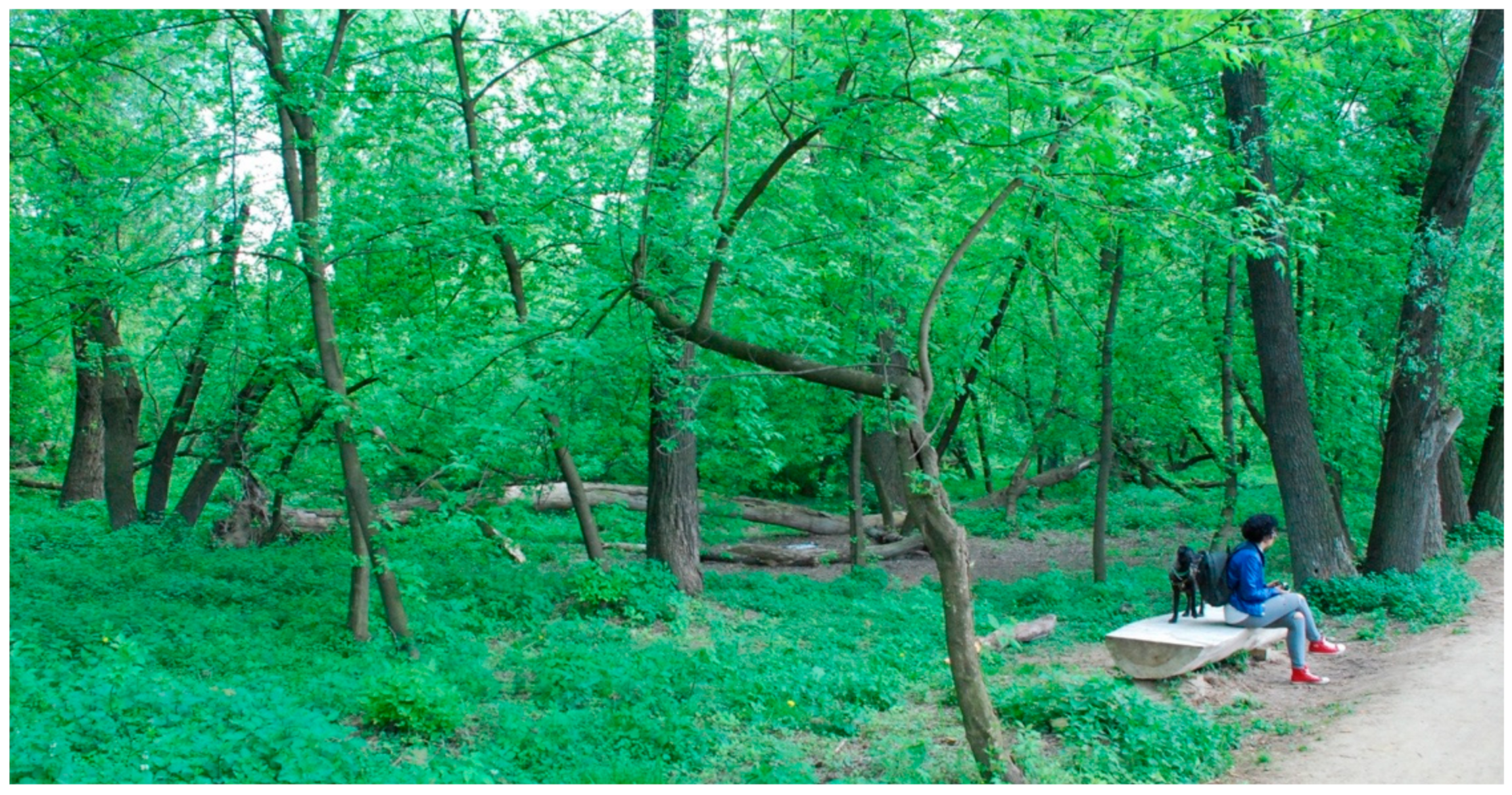 Sustainability 11 05957 g005 Sustainability 11 05957 g005